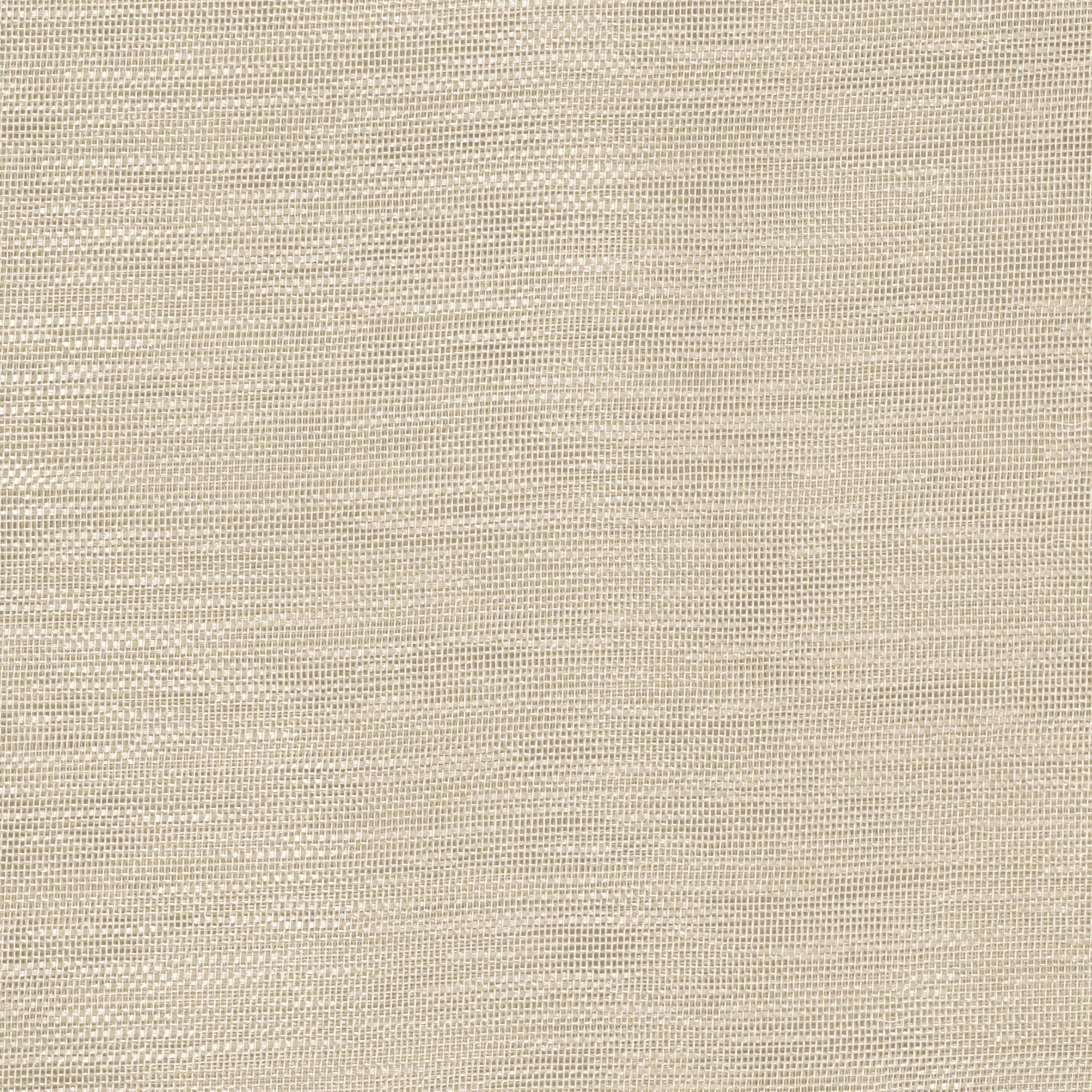 Voilage tamisant, Moly, beige H.240 x l.135 cm - 2
