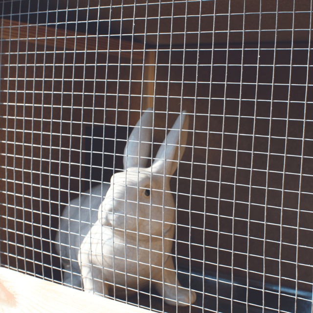 Grillage pour animaux soudé gris, H.1 x L.3 m, maille H.6 x l.6.4 mm