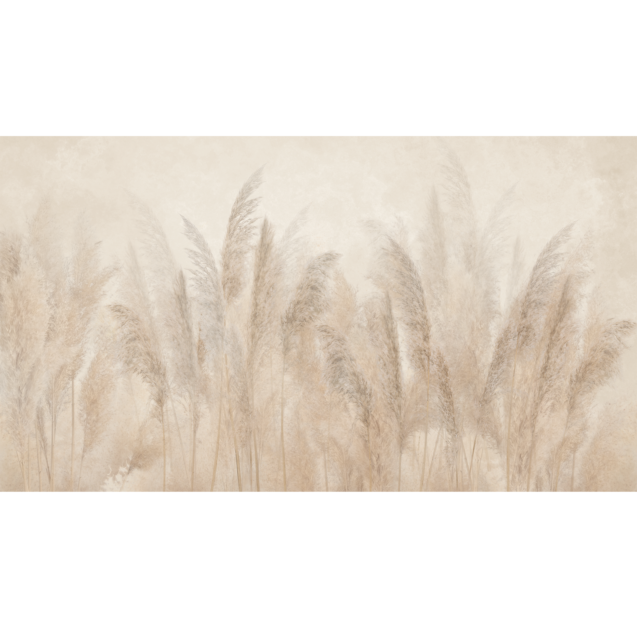 Mural Pampas 500 x 280 cm struktura Art.