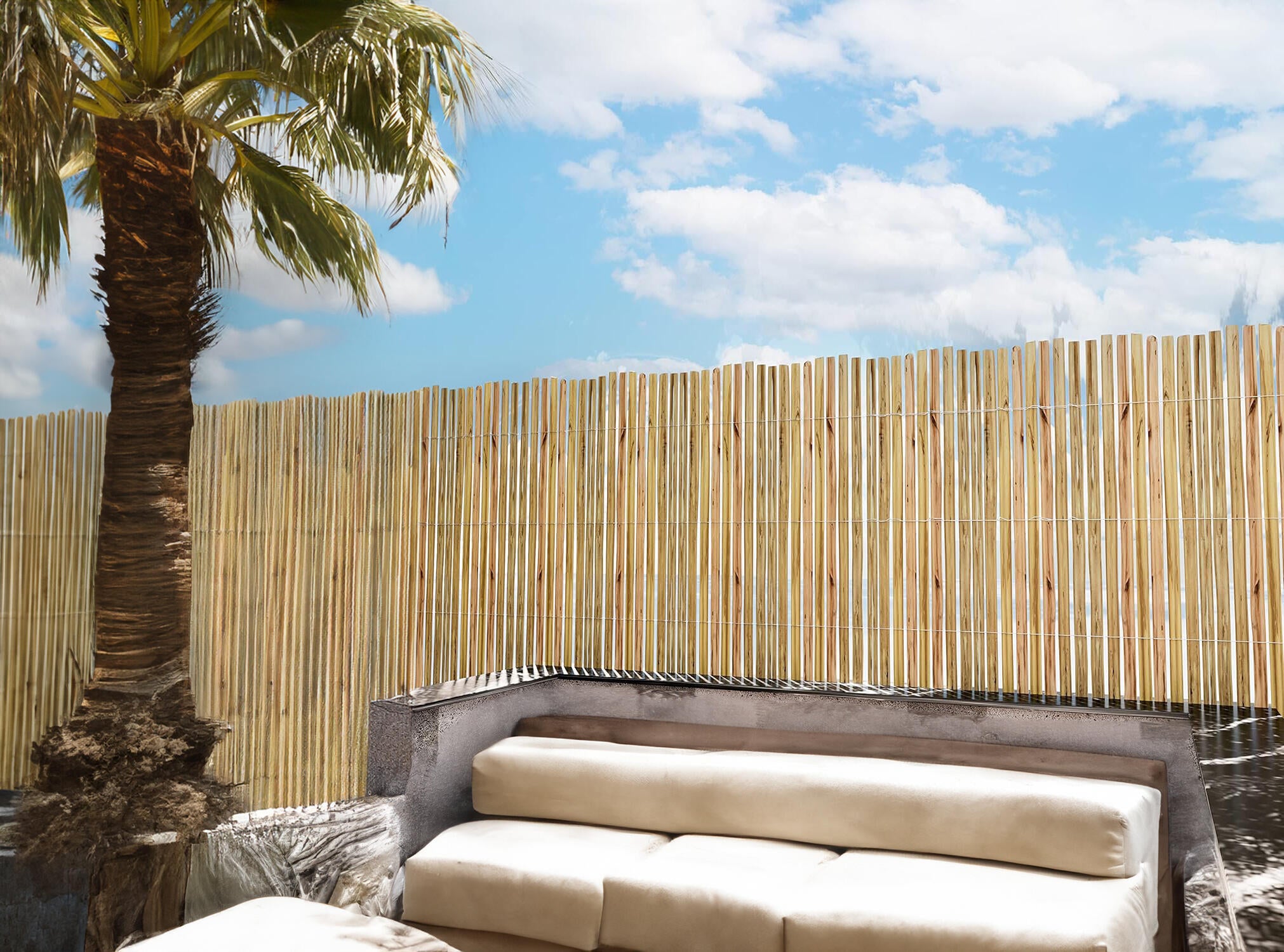 Arella bambù 4F GROUP ARELLA MEZZA 150X300 CM  L 3 x H 1.5 m - 2