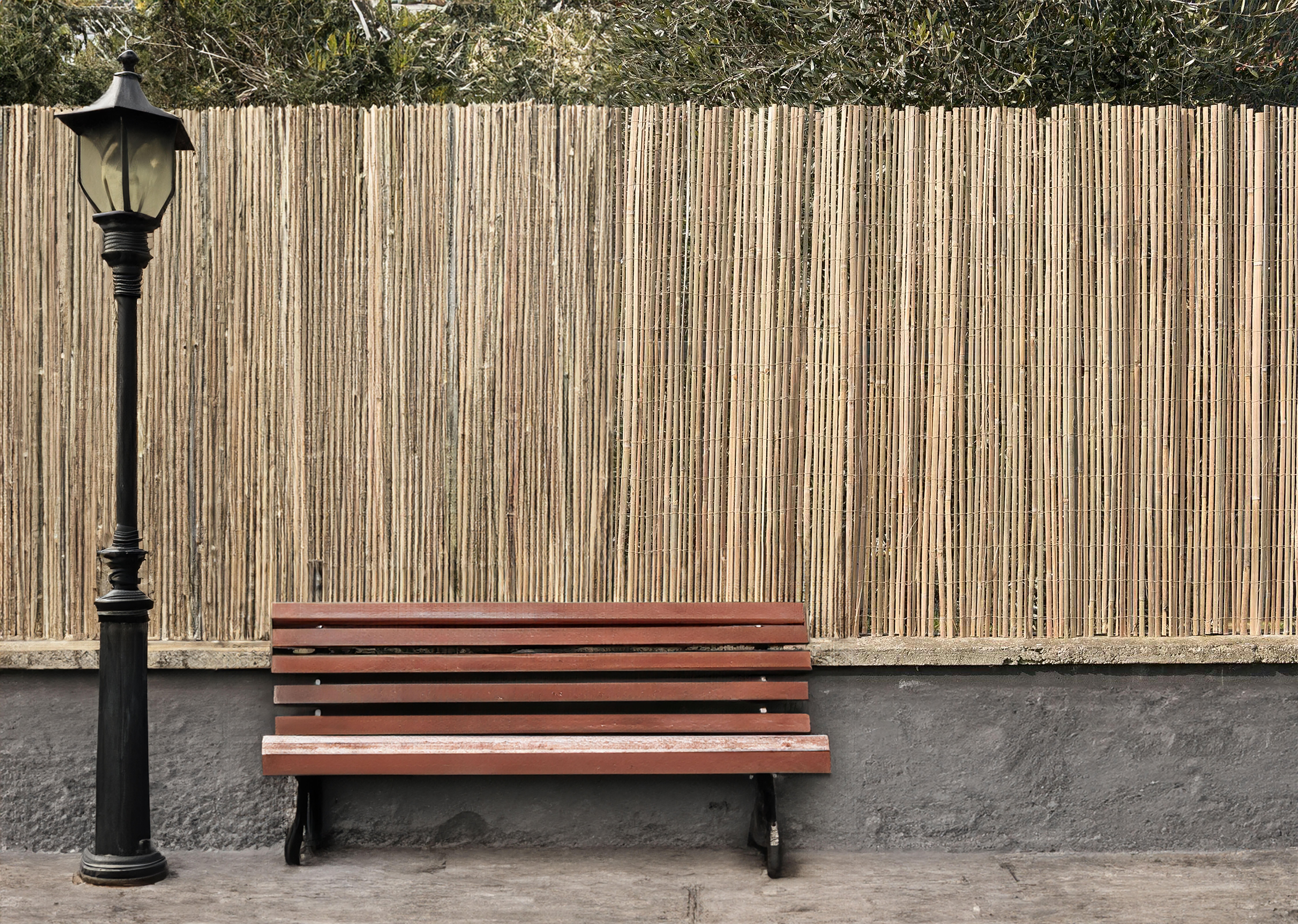Arella bambù 4F GROUP ARELLA MEZZA 200X300 CM  L 3 x H 2 m - 2