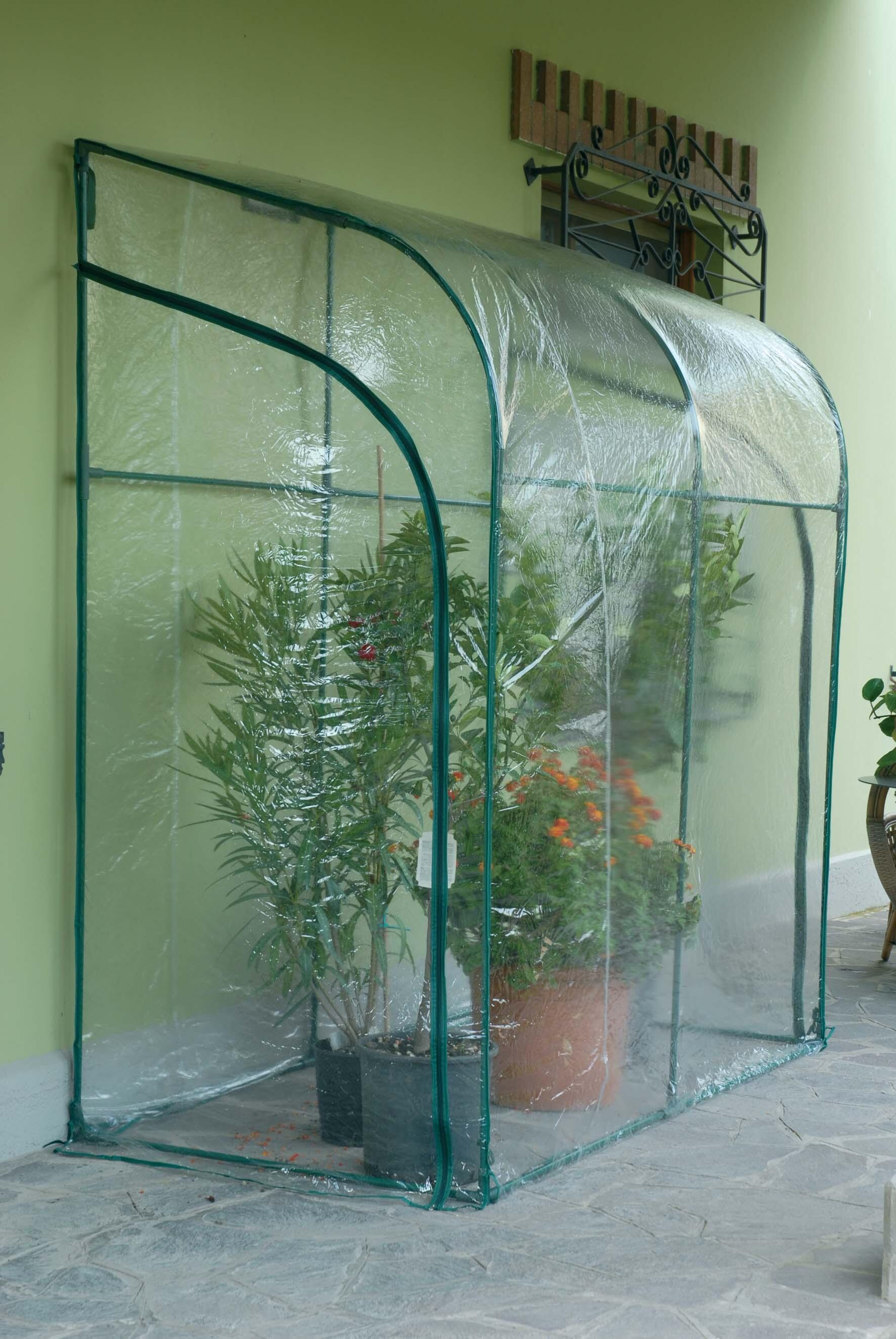 Serra da giardino VERDEMAX Oleander H 215 cm, L 200 x P 100 cm - 2