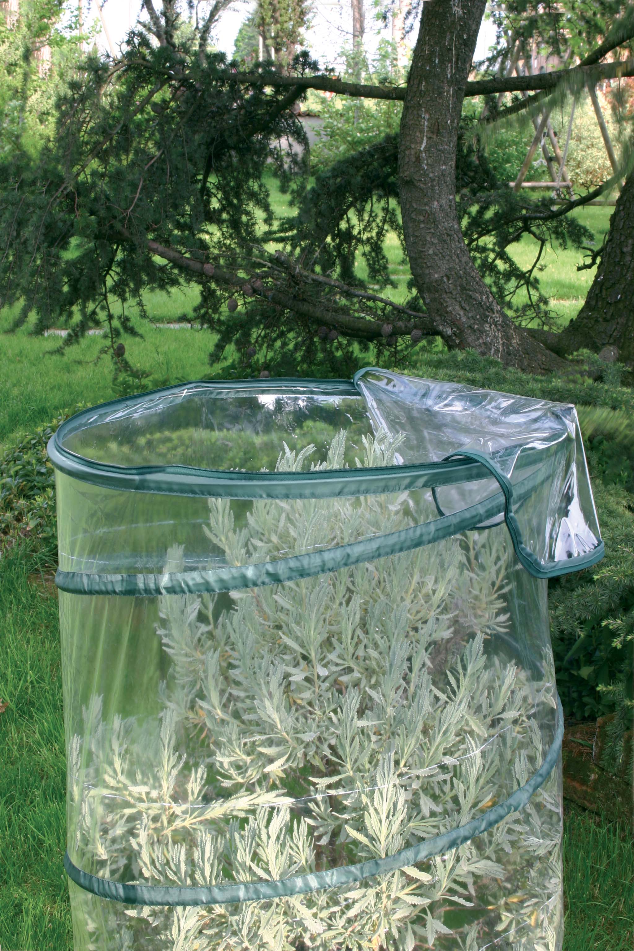 Serra da giardino VERDEMAX Pop-up H 110 cm, L 70 x P 70 cm - 4