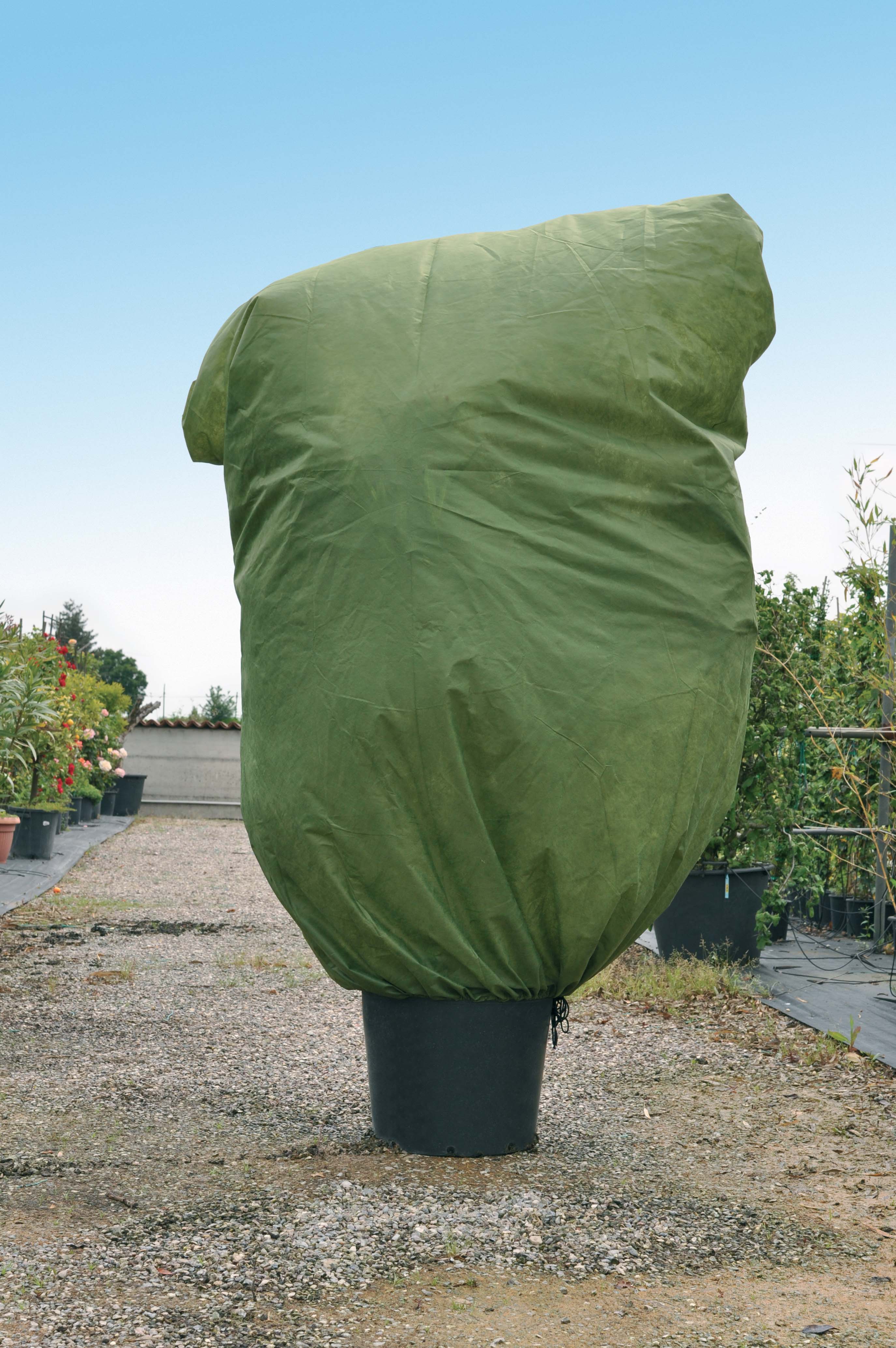 Telo di protezione per colture VERDEMAX verde 2 x 1.8 m 45 g/m² - 2