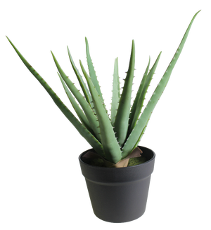Aloes sztuczny 45cm w doniczce - Leroy Merlin