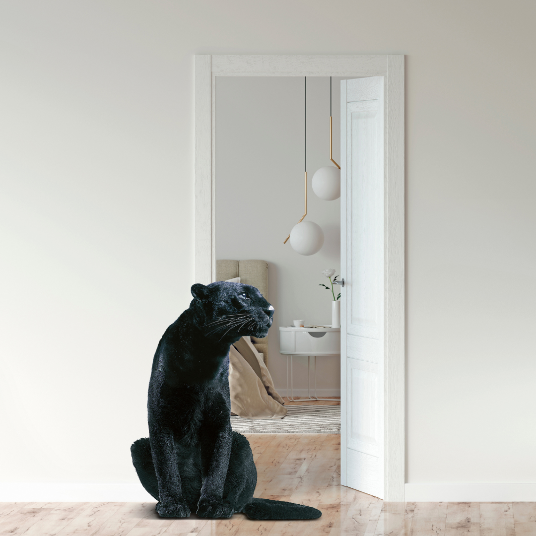 ambiance dulux vélenite acrylique - 3