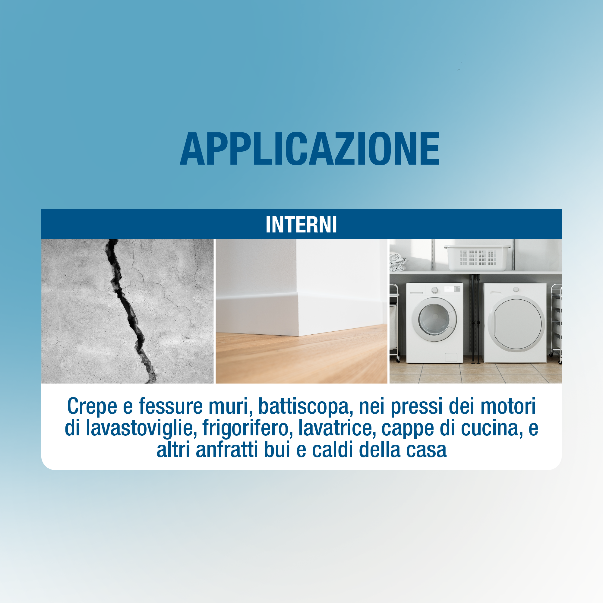 Insetticida trappola per scarafaggi PROTECT HOME 5 gr - 3