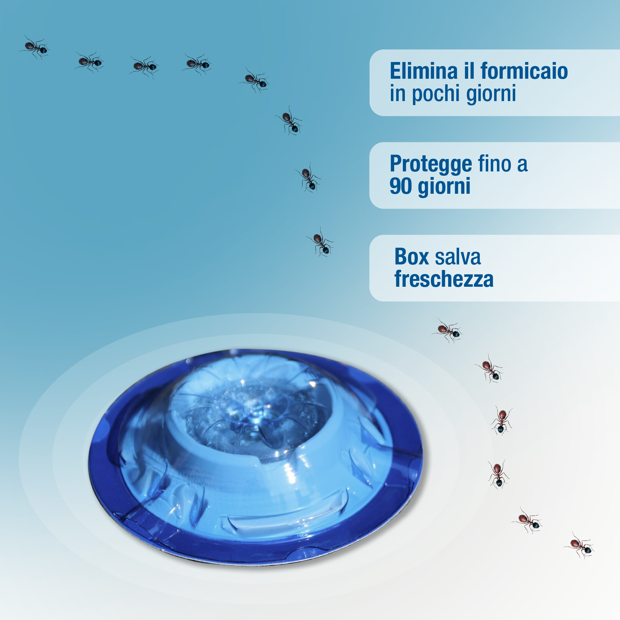 Trappola gel per formiche PROTECT HOME, 4 pezzi - 2