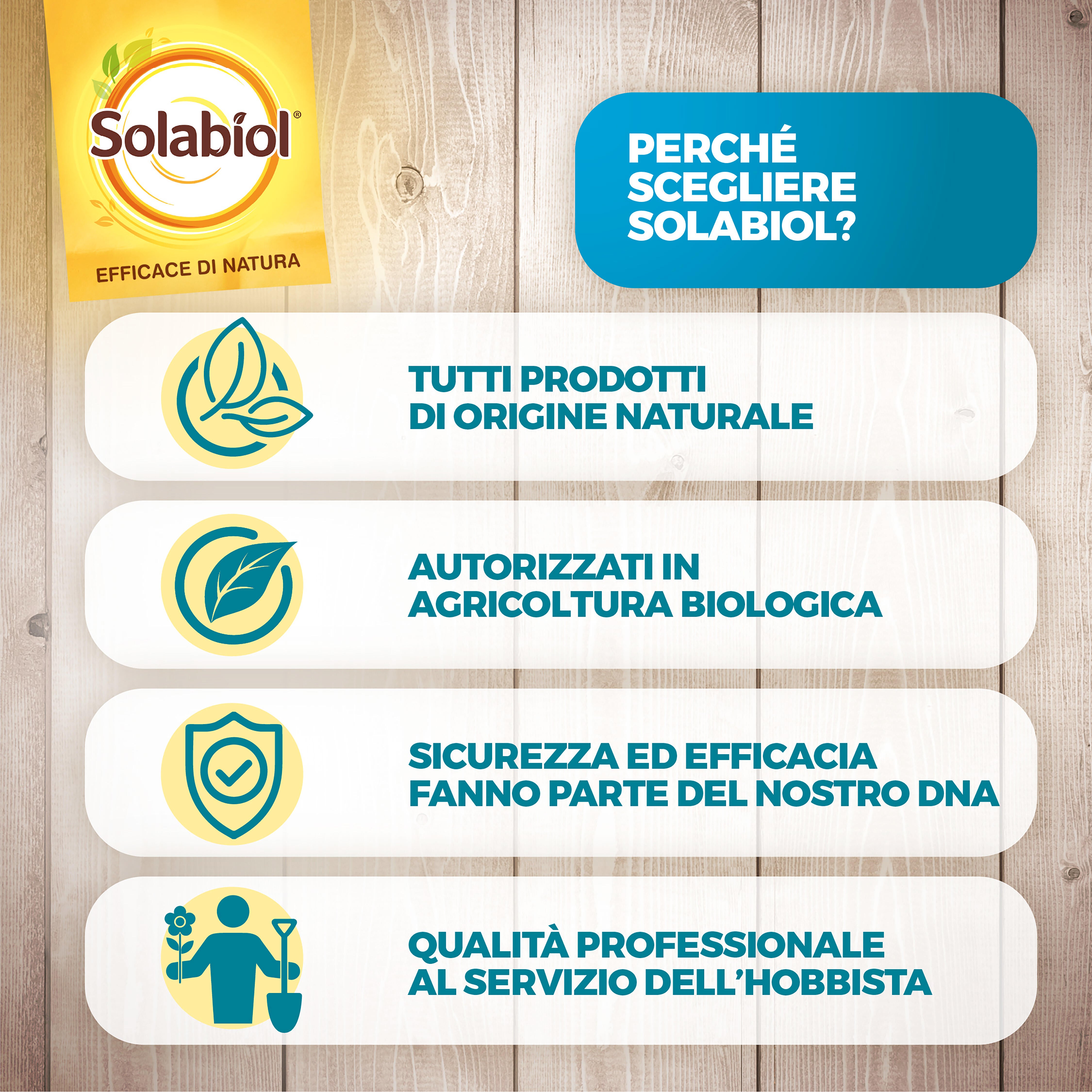 Fungicida SOLABIOL Bicarbonato di Sodio Polvere da diluire - 6