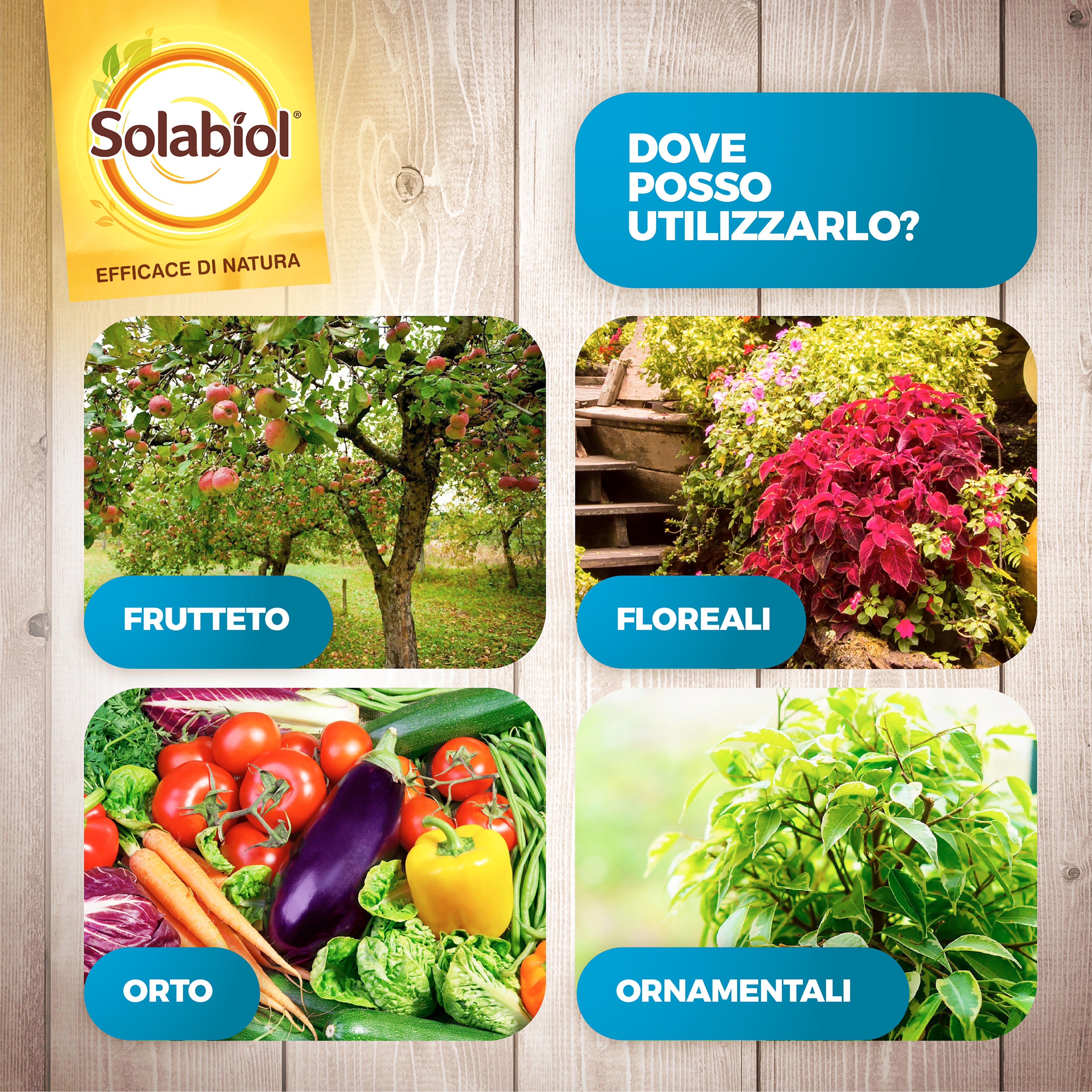 Fungicida SOLABIOL Bicarbonato di Sodio Polvere da diluire - 5