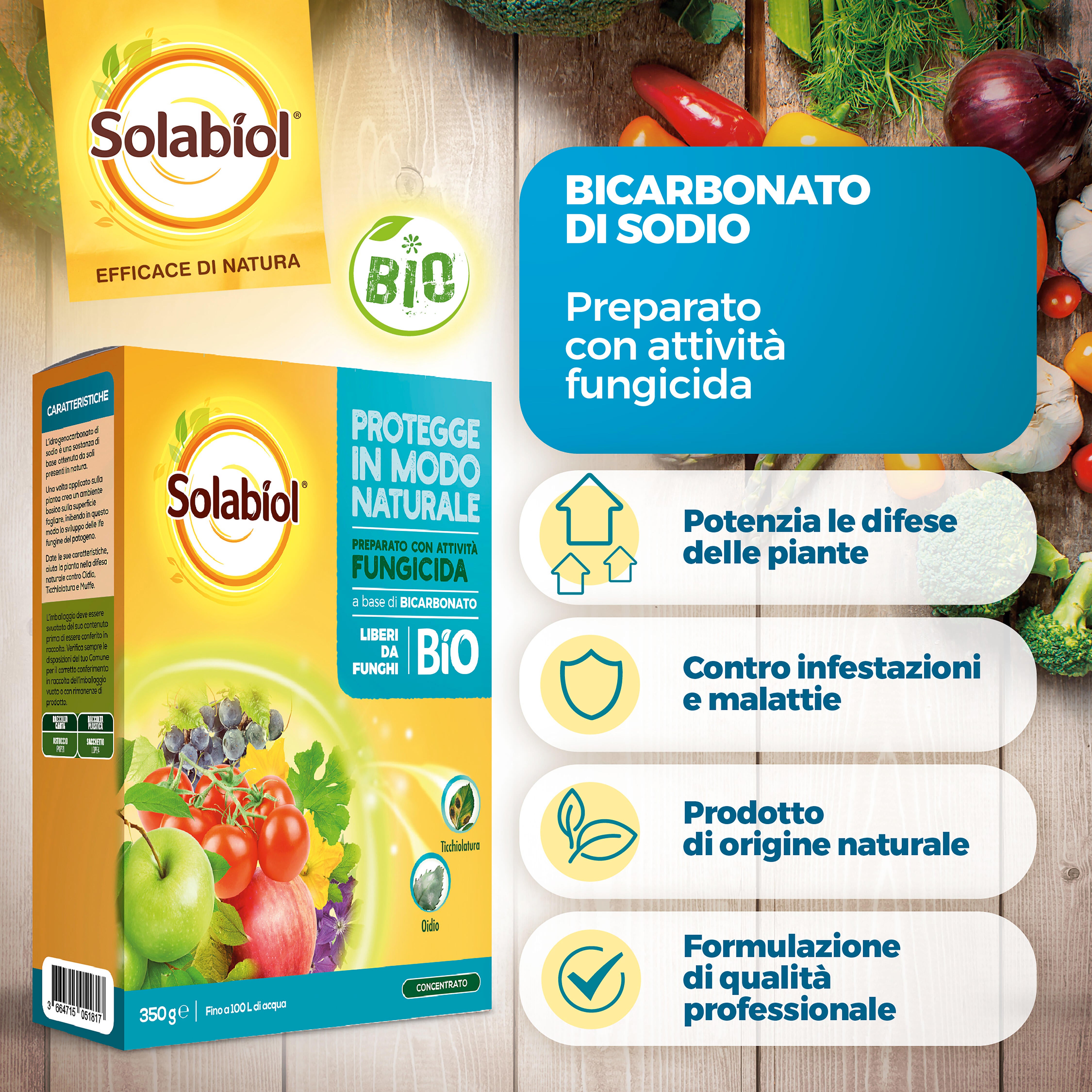 Fungicida SOLABIOL Bicarbonato di Sodio Polvere da diluire - 3
