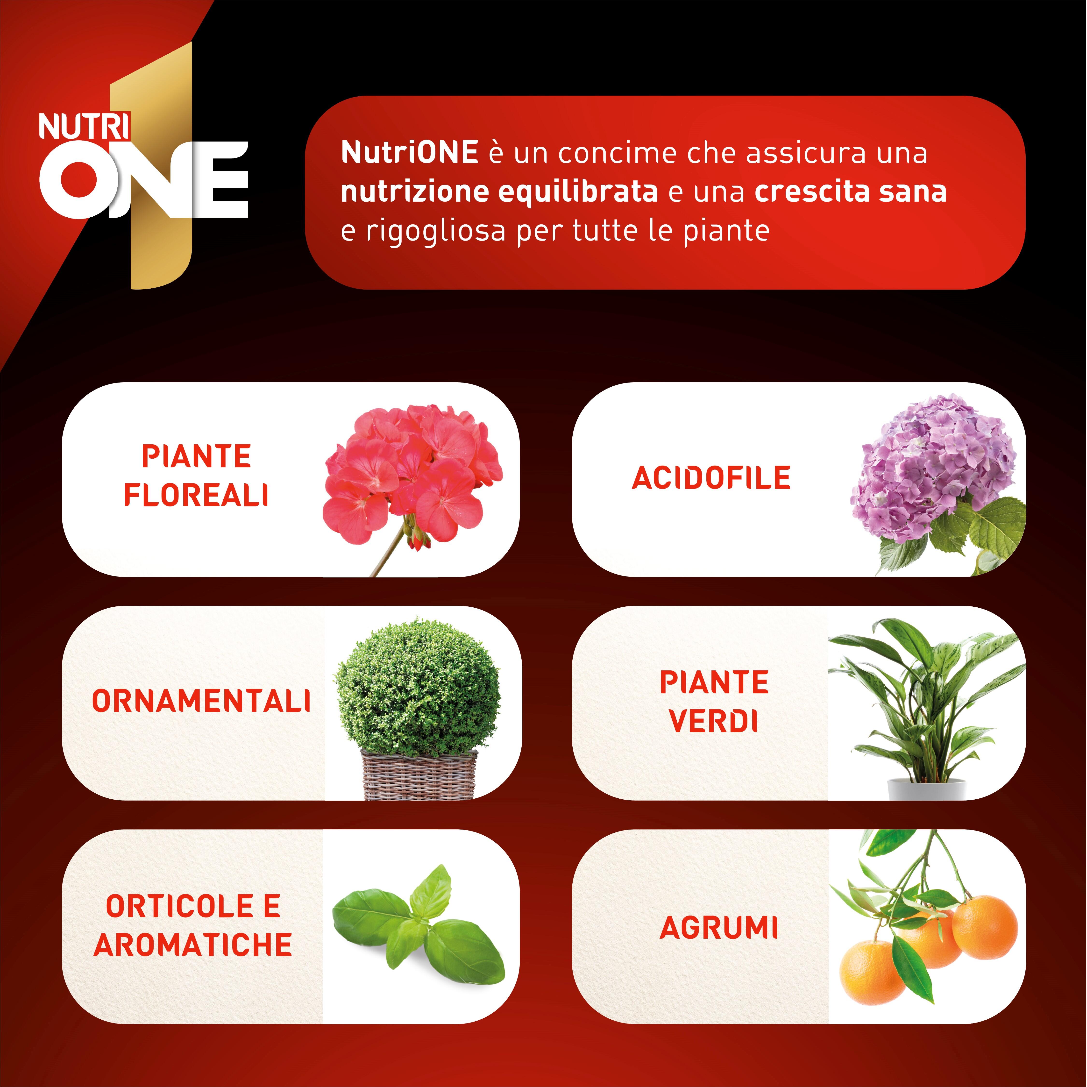Concime liquido ONE per uso universale - 4