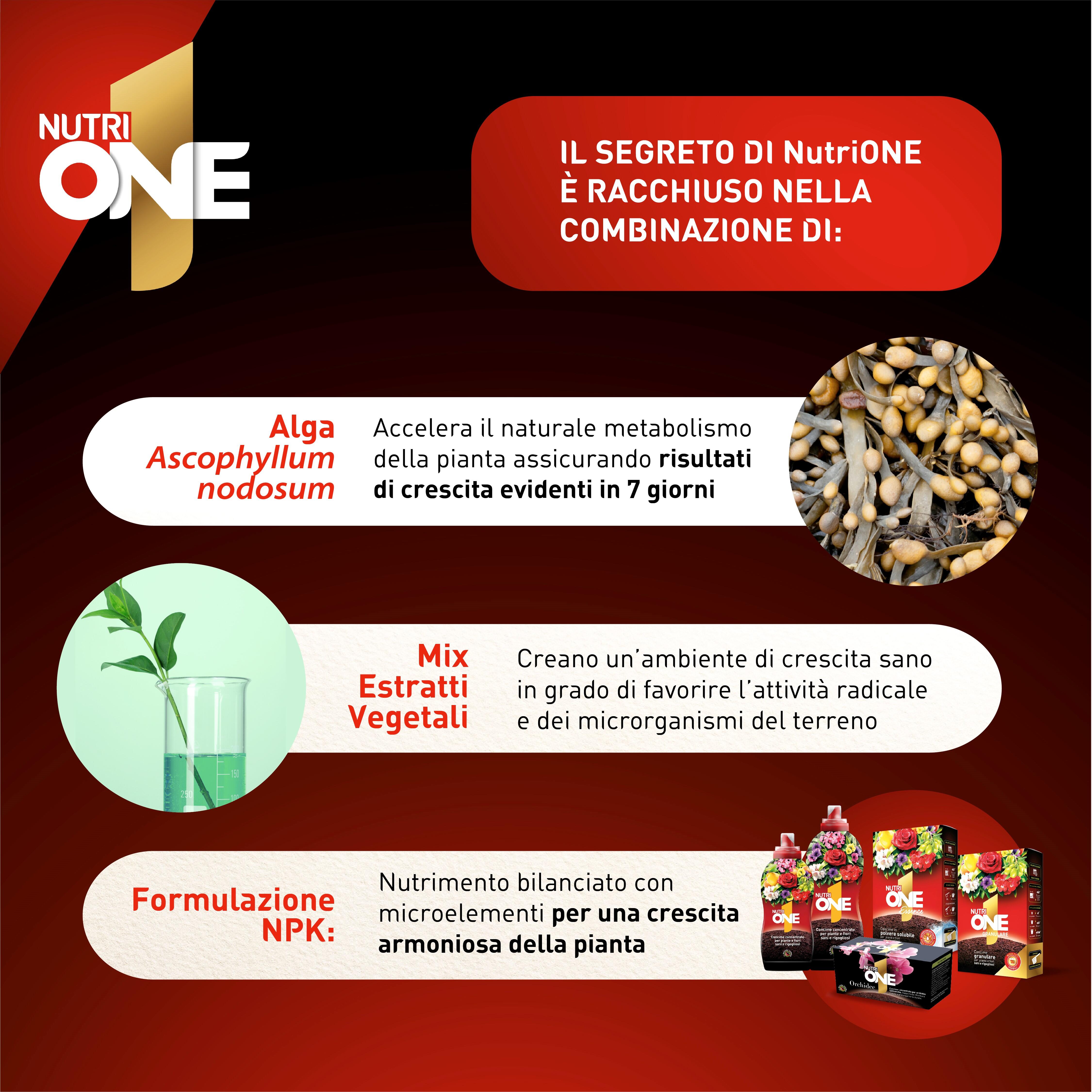 Concime liquido ONE per uso universale - 2