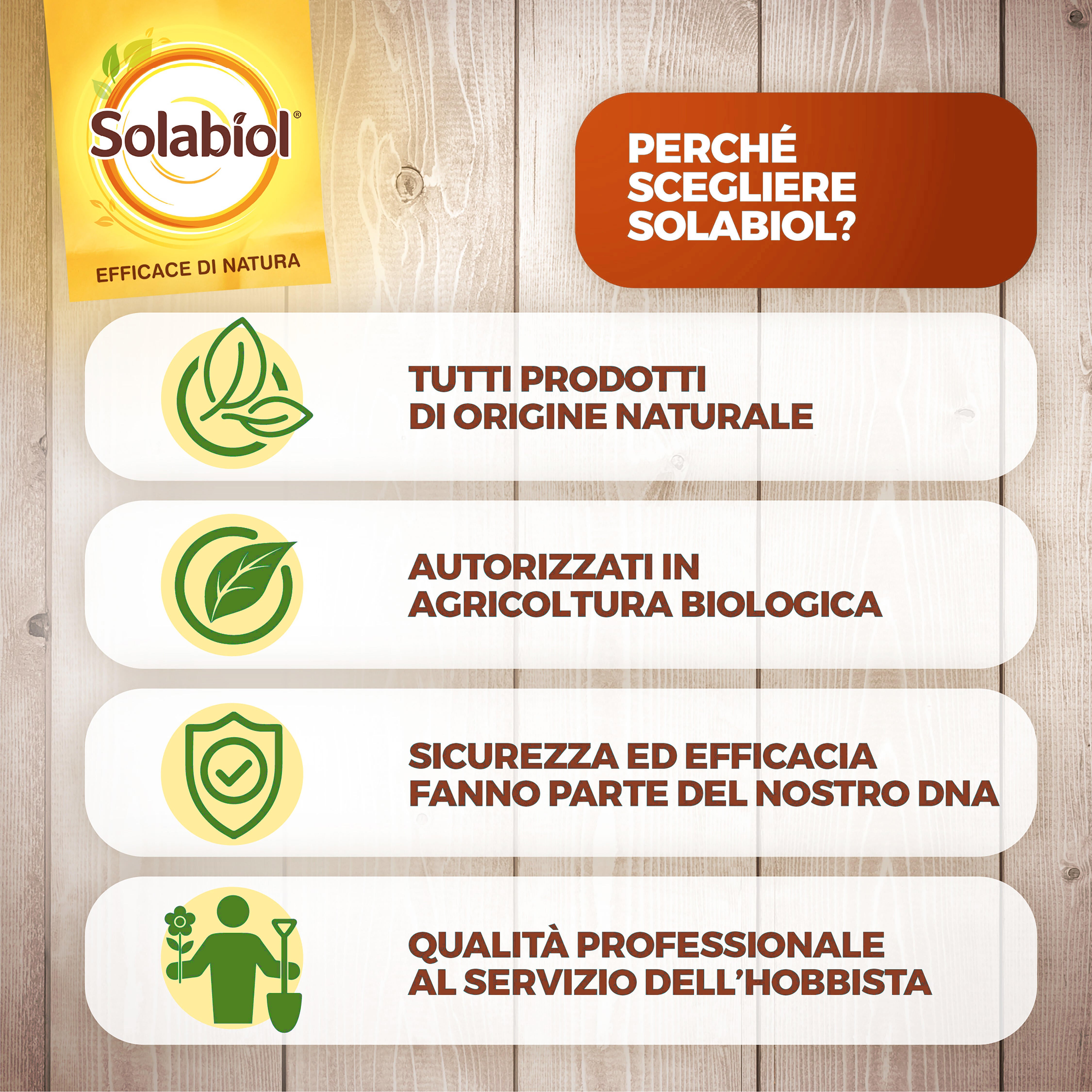 Insetticida fungicida SOLABIOL Zeolite Cubana Polvere da diluire - 8