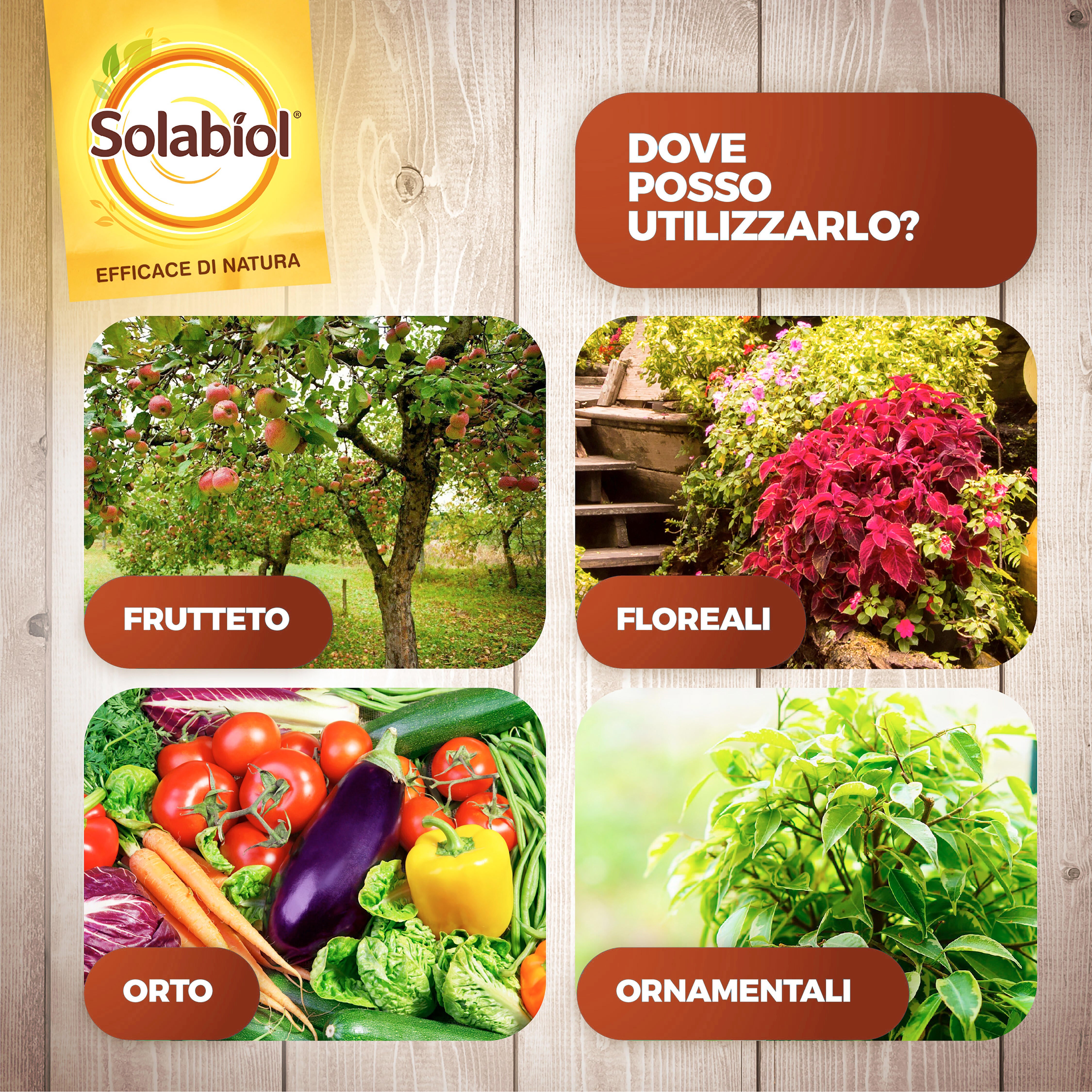 Insetticida fungicida SOLABIOL Zeolite Cubana Polvere da diluire - 7