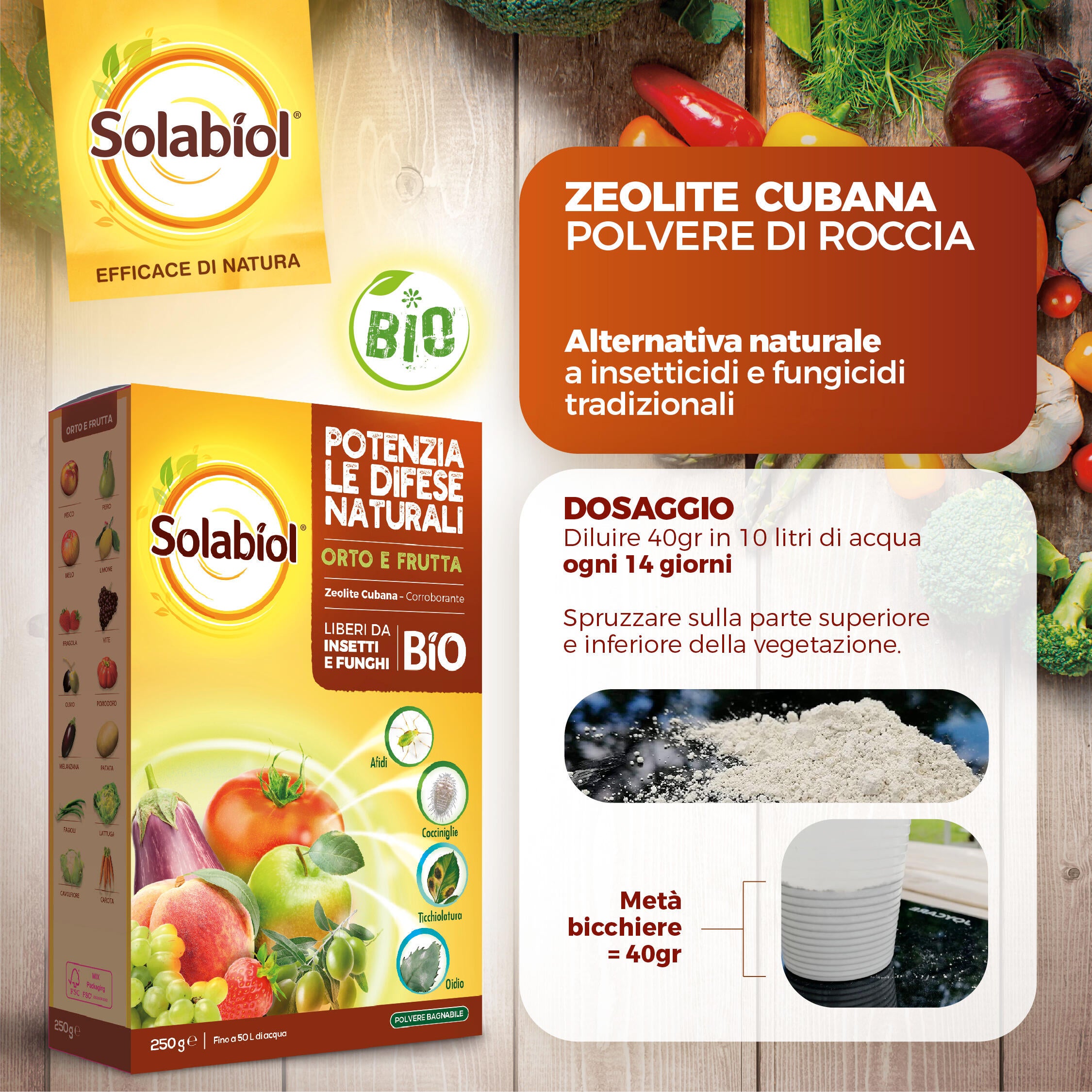 Insetticida fungicida SOLABIOL Zeolite Cubana Polvere da diluire - 6
