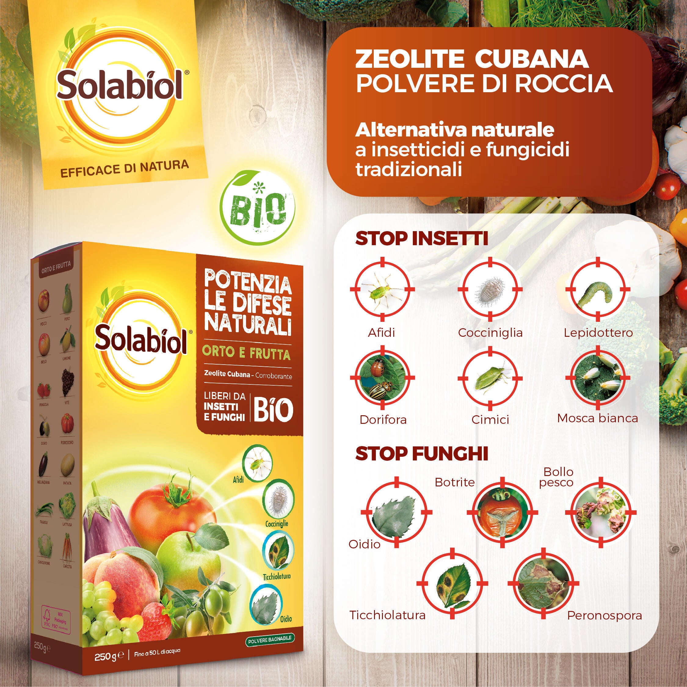 Insetticida fungicida SOLABIOL Zeolite Cubana Polvere da diluire - 5