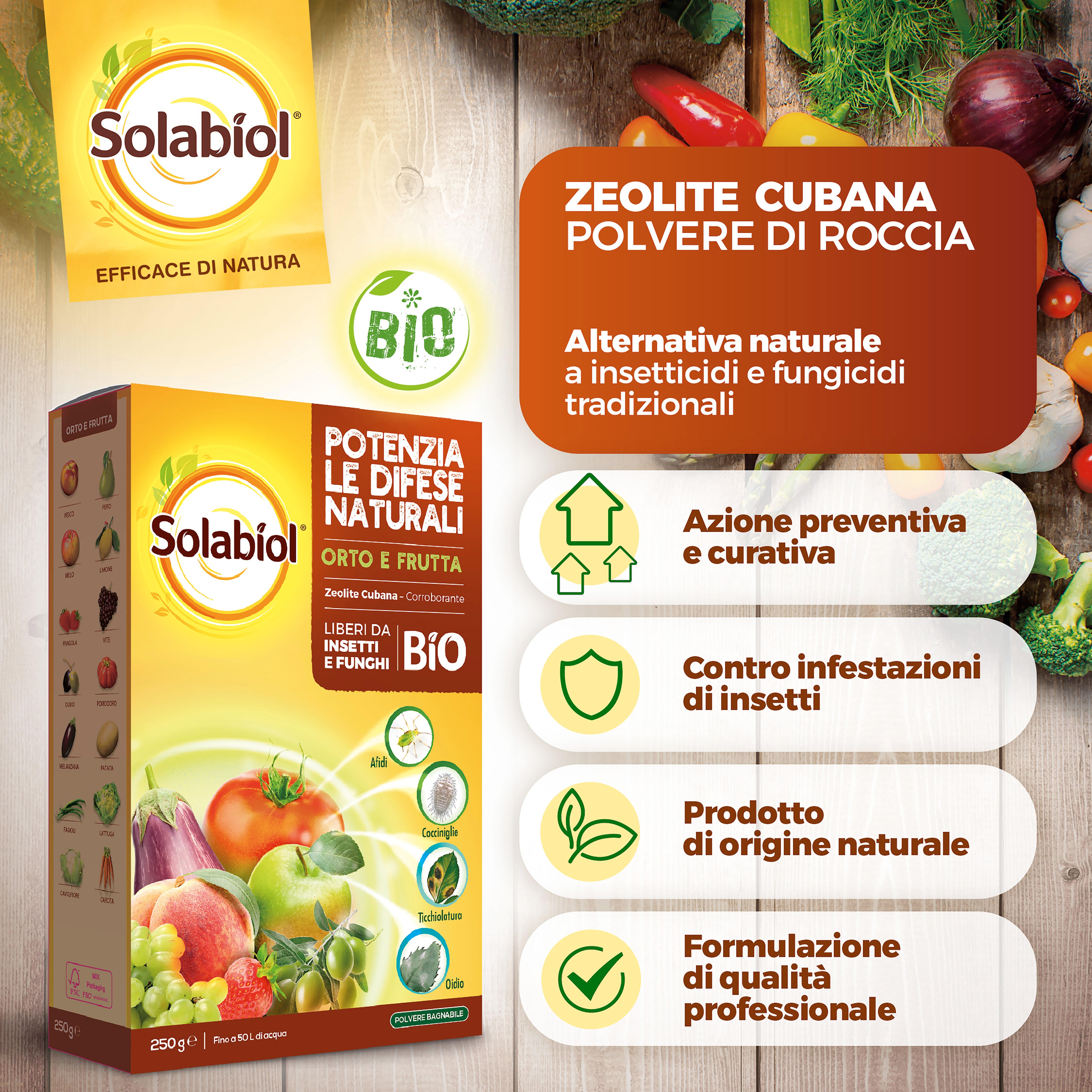 Insetticida fungicida SOLABIOL Zeolite Cubana Polvere da diluire - 4