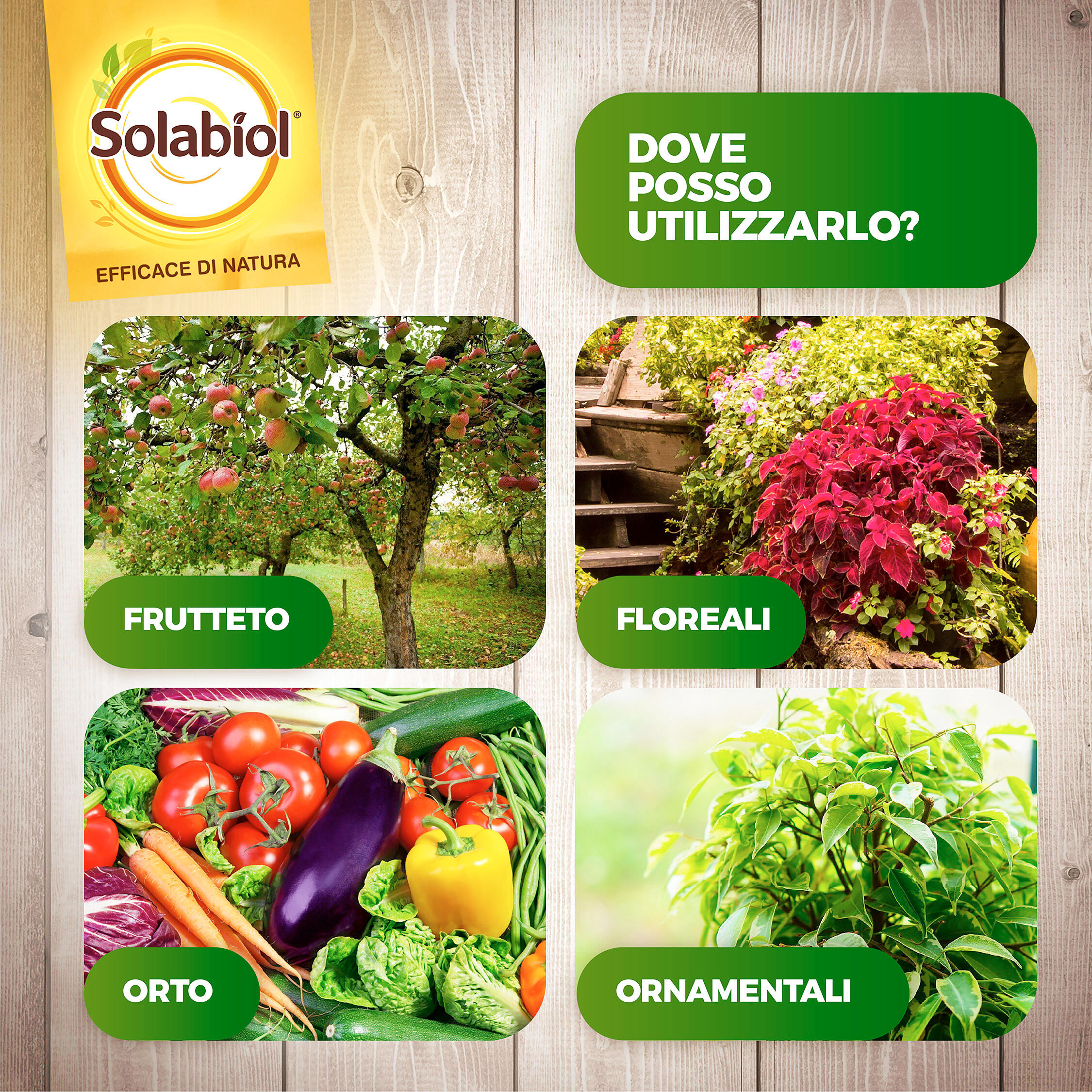 Insetticida SOLABIOL Olio Vegetale di Soia Pronto Uso - 4