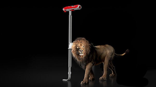 TASSELLI PER CARTONGESSO