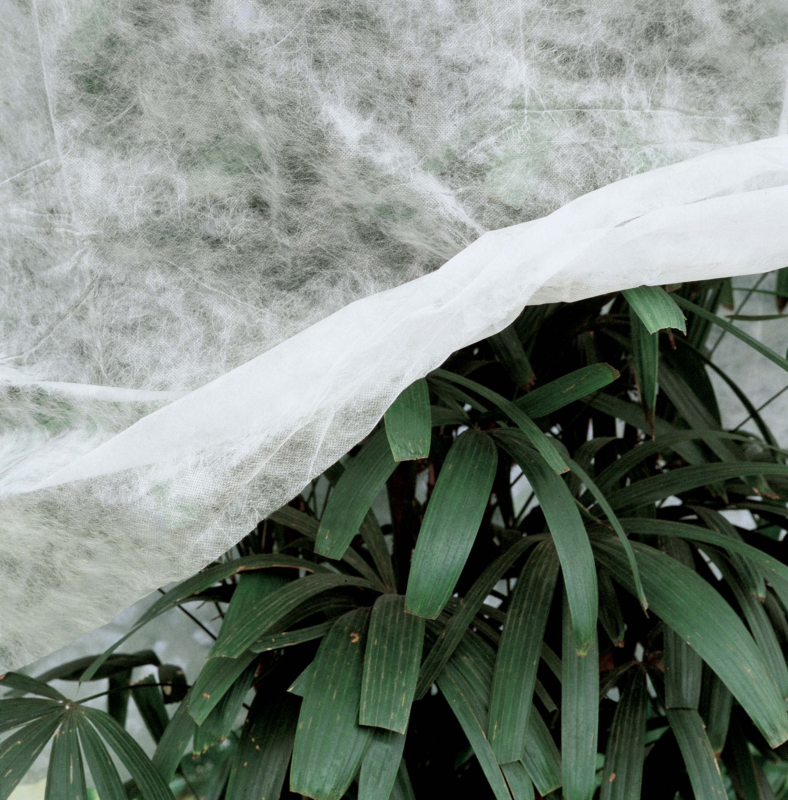 Telo di protezione per colture VERDEMAX 10 x 1.6 m 30 g/m² - 2