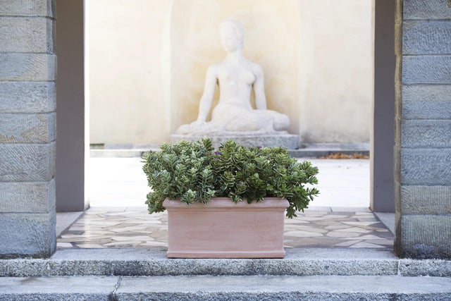Fioriera Da Balcone Venus 40 Cm Con Sottovaso – Colore Terracotta – Plastica Resistente Agli Agenti Atmosferici