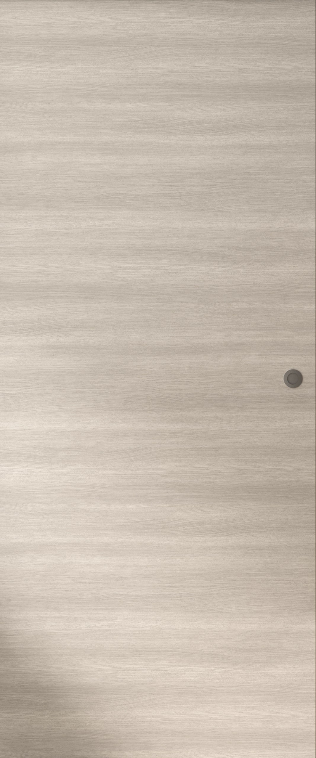 Kit porte + rail gris Bilbao2, H.204 x 83cm - 2