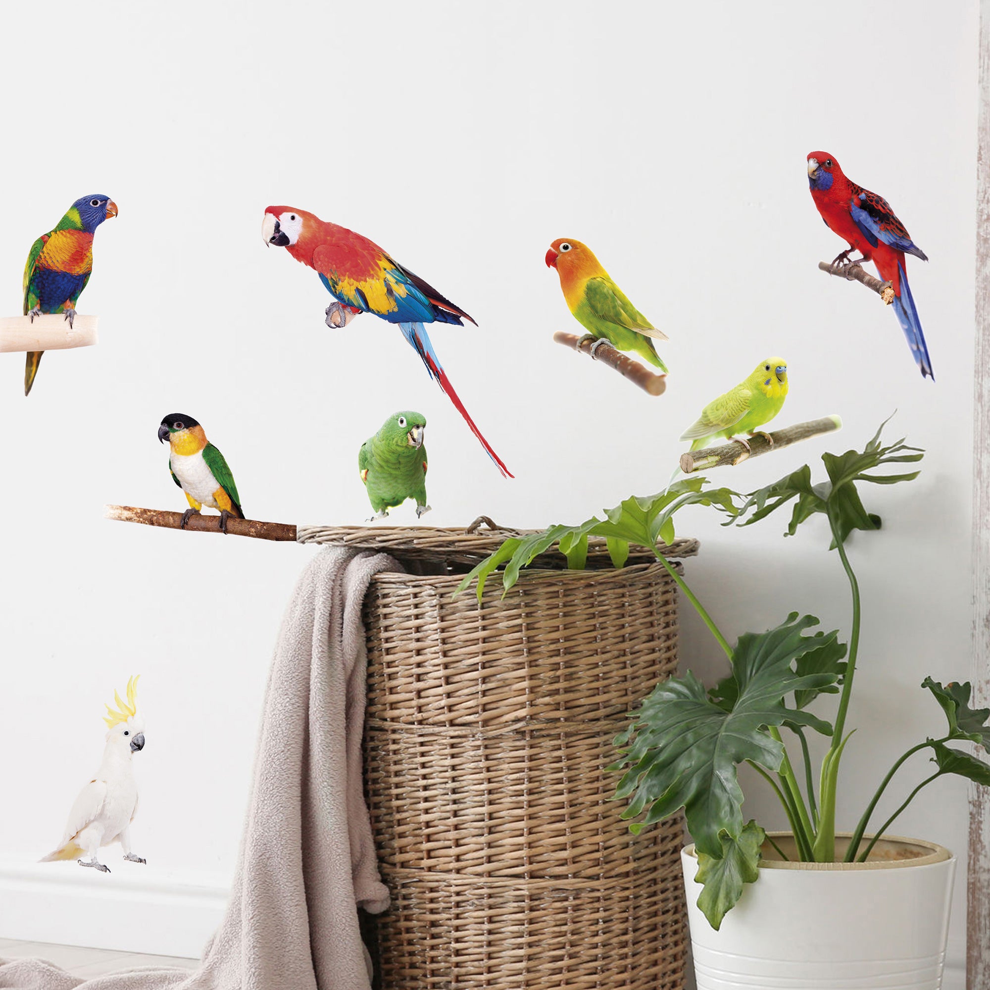 Sticker décoratif oiseaux tropicaux, multicolore x 24 cm - 4