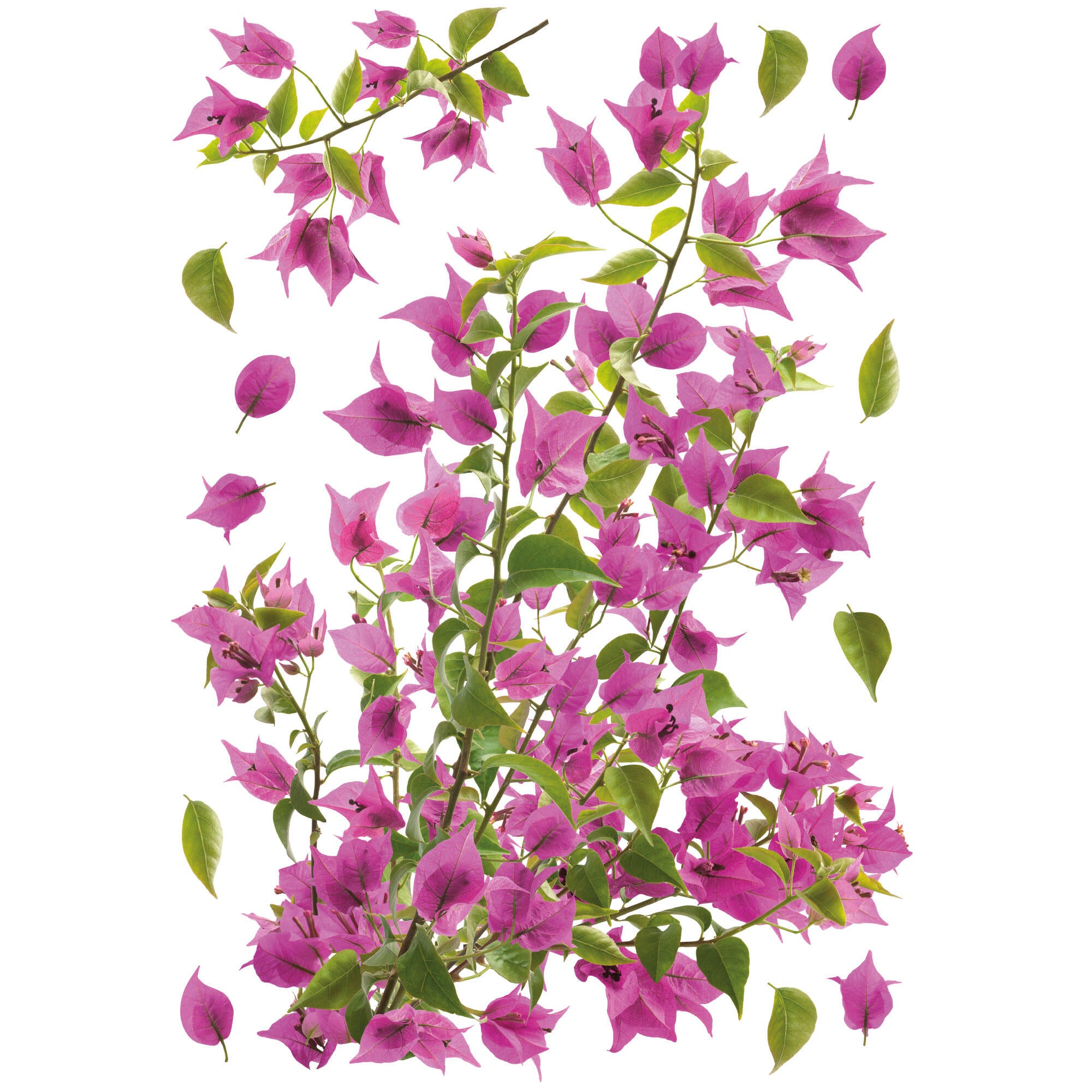 Sticker bougainvilliers, multicolore, 48 cm x 68 cm - 2