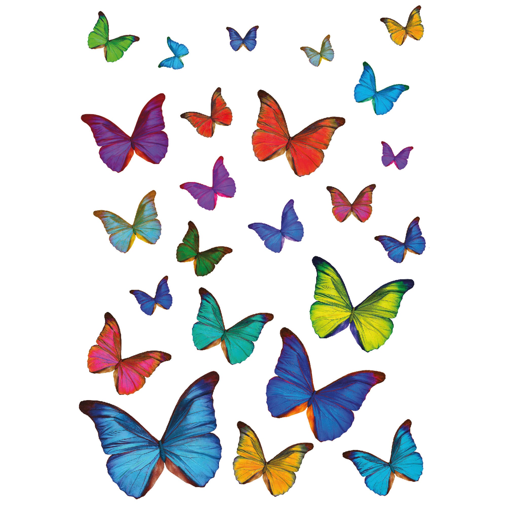 Sticker décoratif papillons, multicolore x 48 cm - 3
