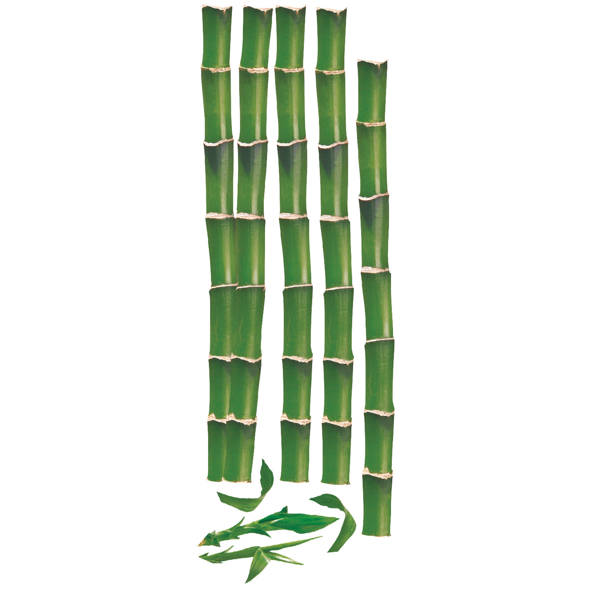 Sticker décoratif bambous, vert x 24 cm - 2