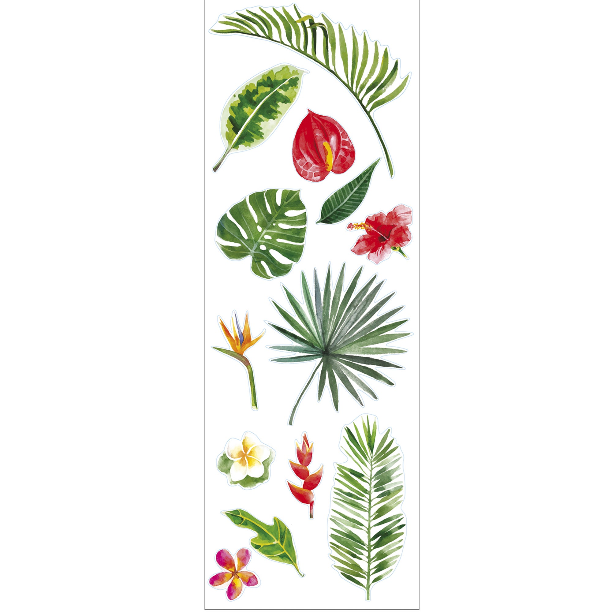 Sticker décoratif nature tropicale, multicolore x 24 cm - 3