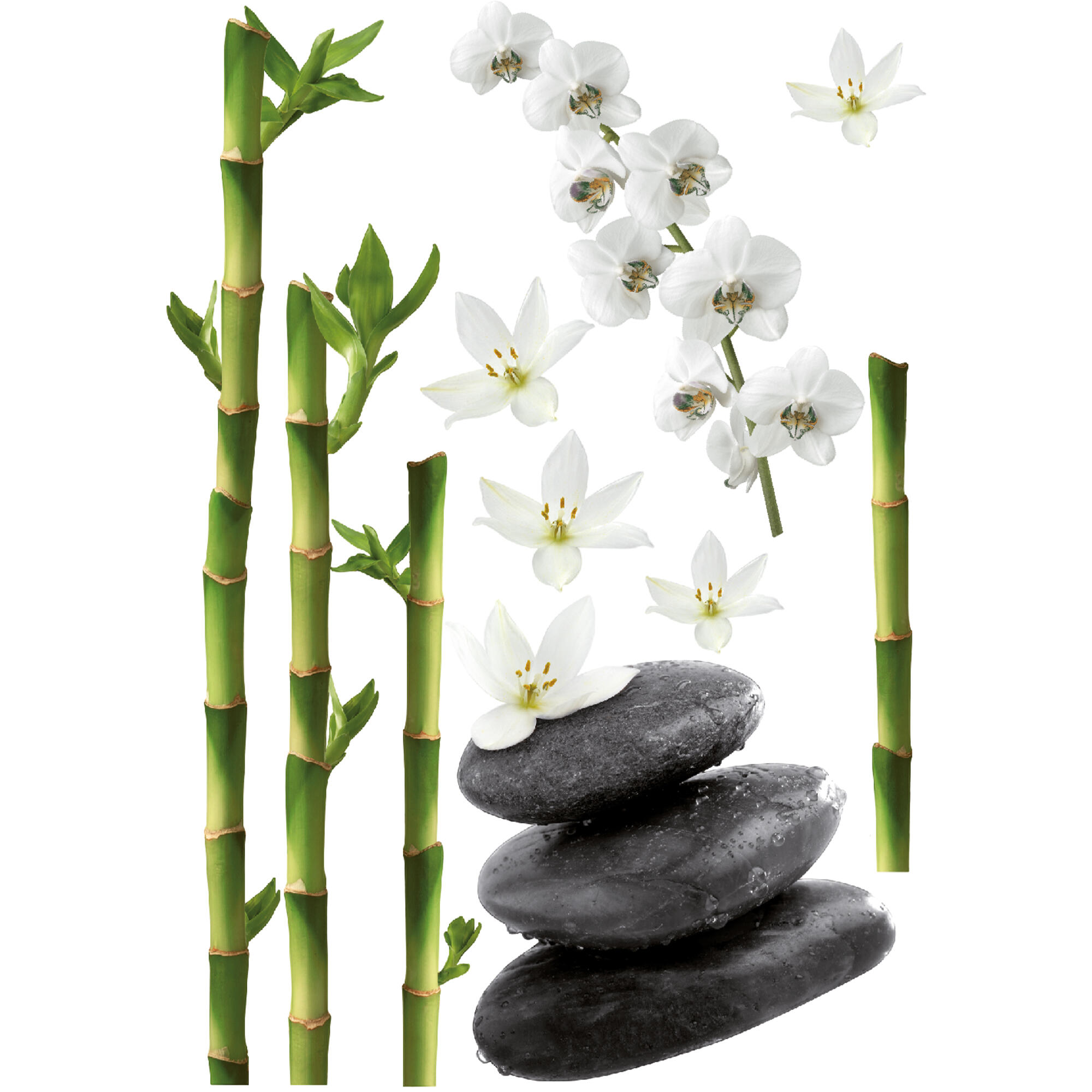 Sticker décoratif zen, multicolore x 48 cm - 4