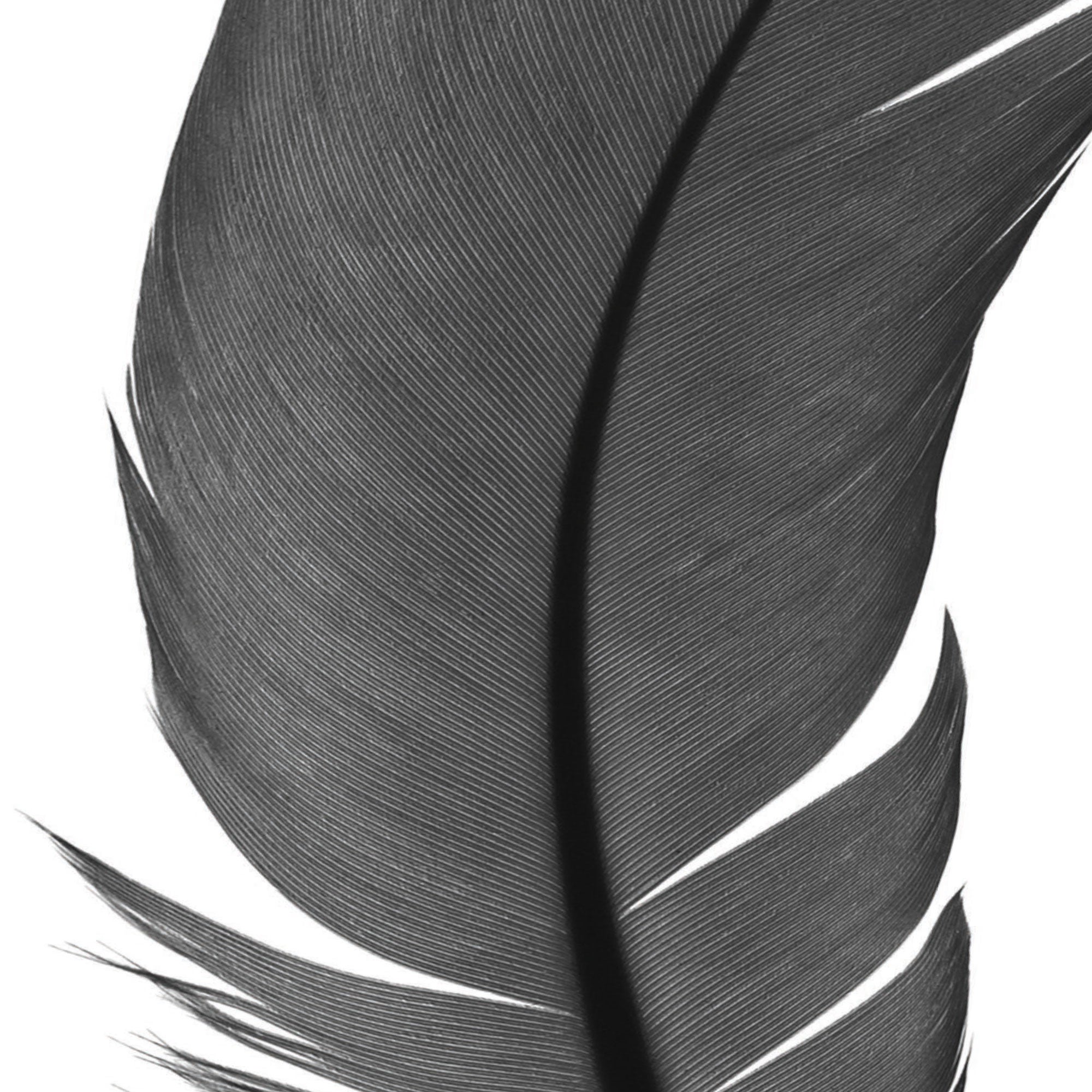 Sticker décoratif écriture, multicolore x 24 cm - 3