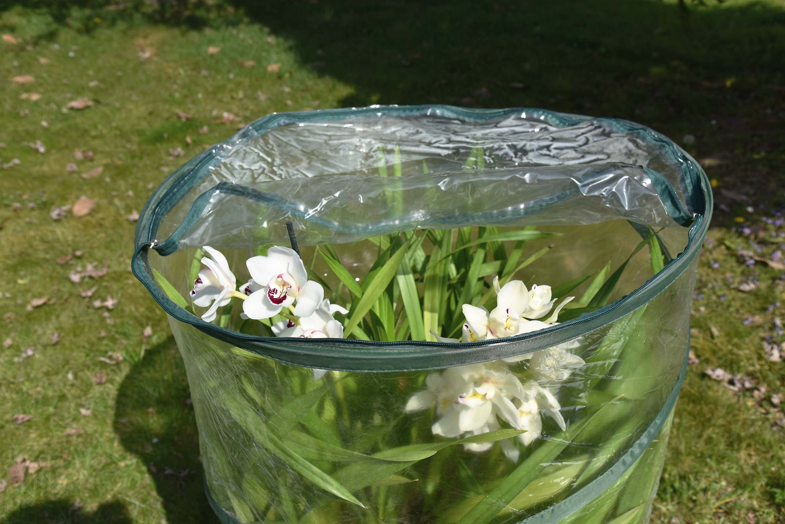 Serra da giardino VERDEMAX Pop-up H 110 cm, L 70 x P 70 cm - 3