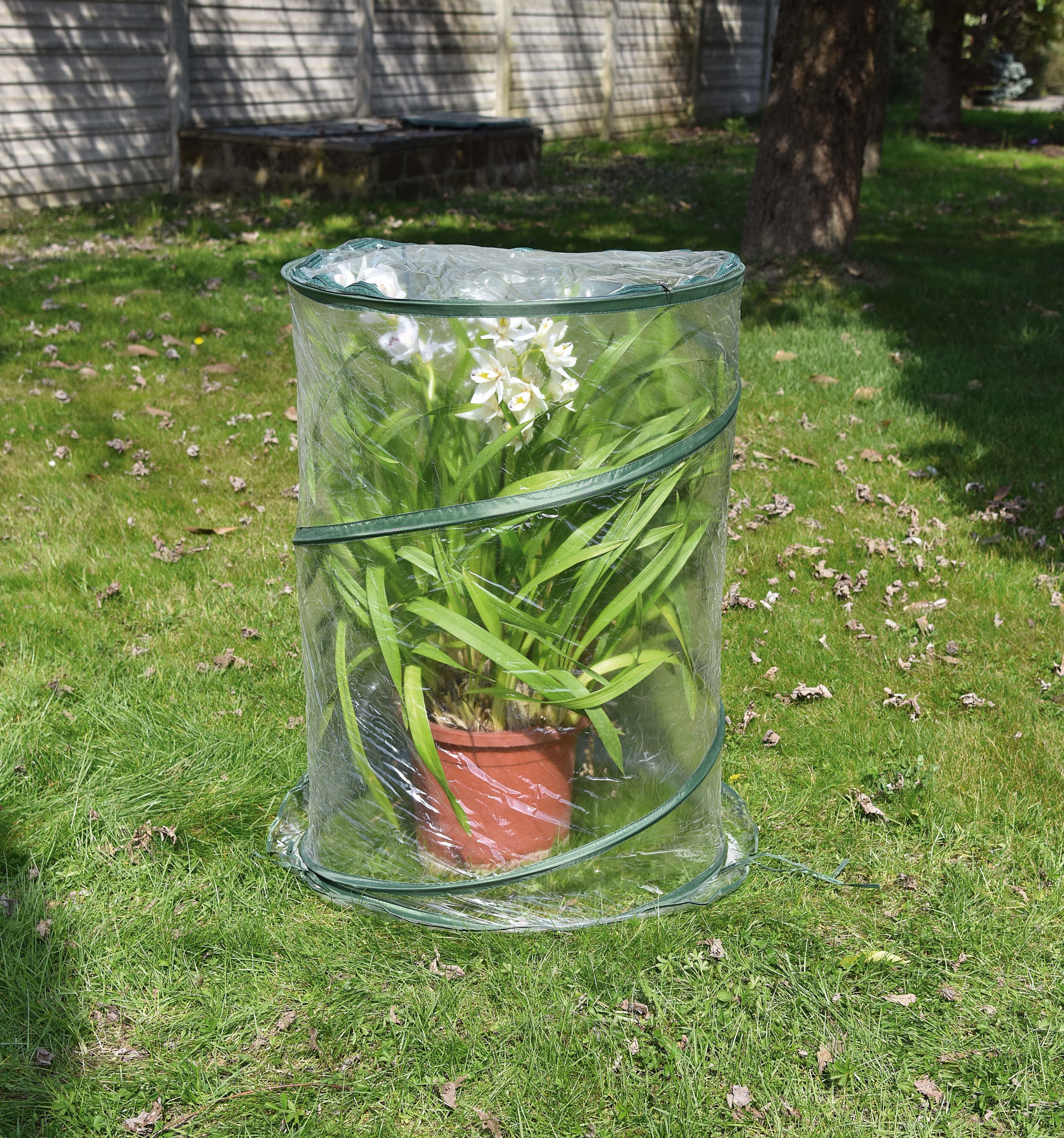 Serra da giardino VERDEMAX Pop-up H 110 cm, L 70 x P 70 cm - 2