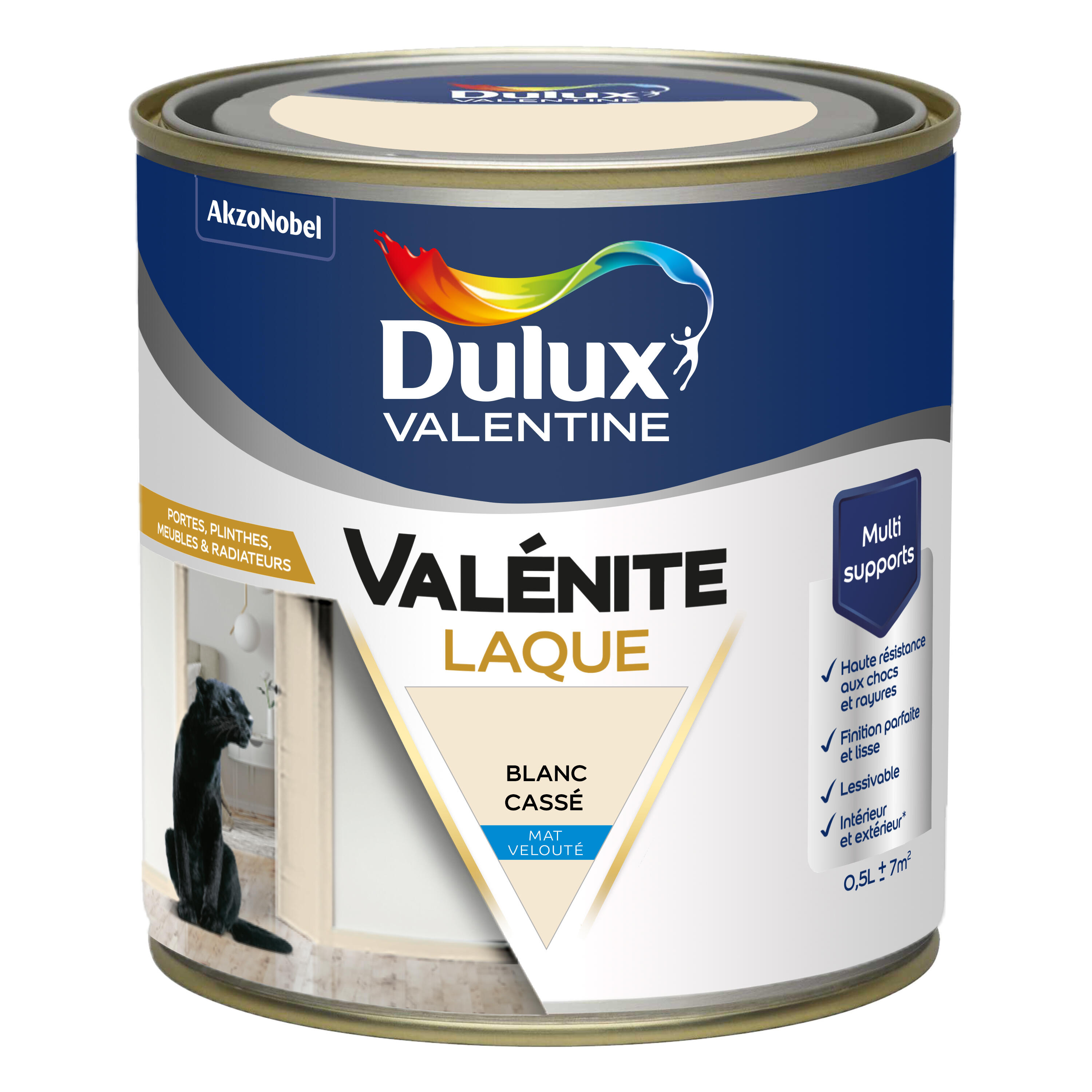 Peinture boiserie, radiateur blanc cassé mat DULUX VALENTINE Valénite acrylique - 5