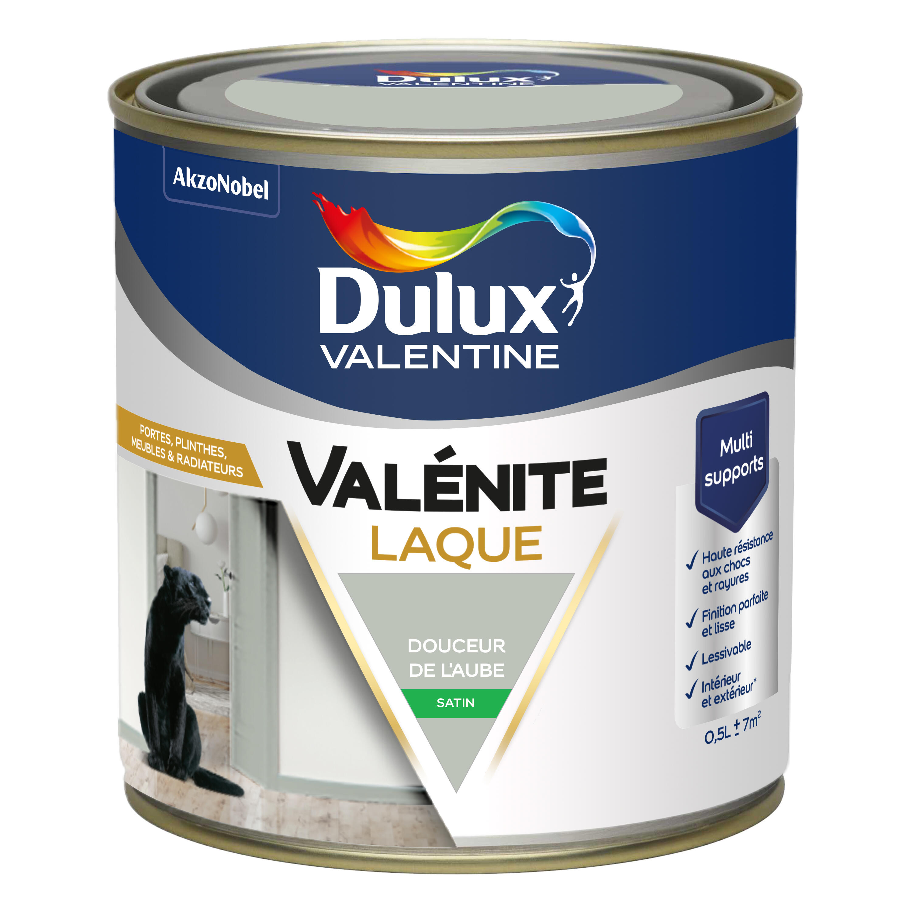 Peinture boiserie douceur de l'aube satin DULUXVALENTINE Valénite acrylique 0.5l - 5