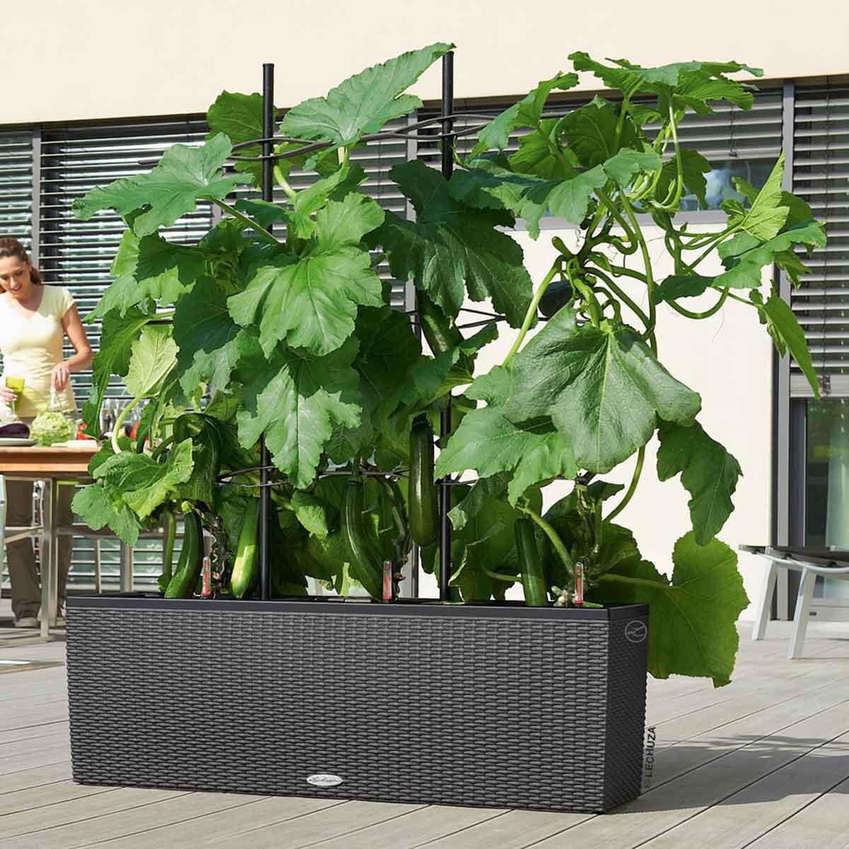 Traliccio grigliato fisso in polipropilene nero L 85.5 X H 130 cm, Sp 100 mm Cottage - 2