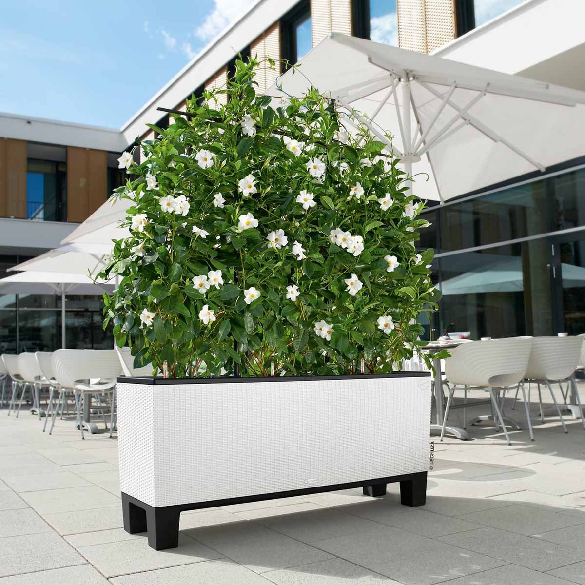 Supporto vaso nero Trio Cottage LECHUZA H 15 x L 98 cm - 2