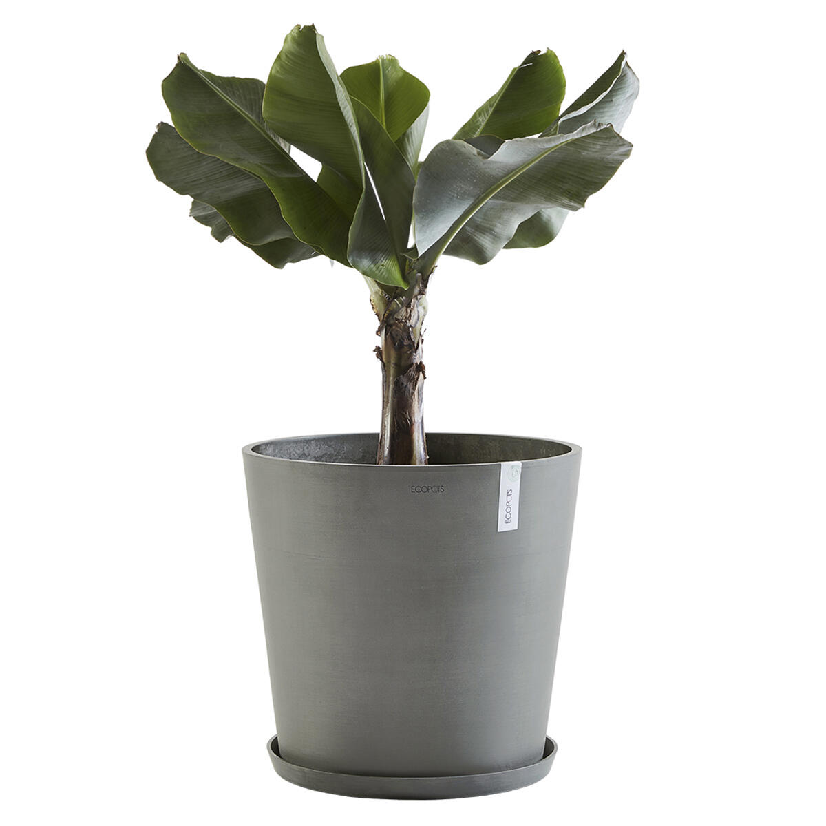 Vaso Amsterdam ECOPOT'S in polipropilene grigio scuro H 55.5 x ø 60 cm - 3
