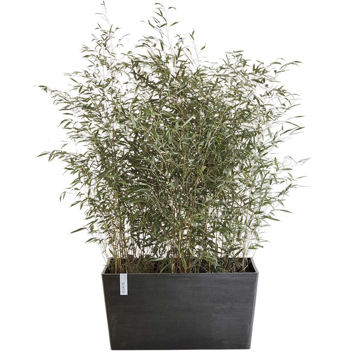 Fioriera Paris ECOPOT'S in polipropilene antracite H 40.5 x L 80 x P 38 cm - 2