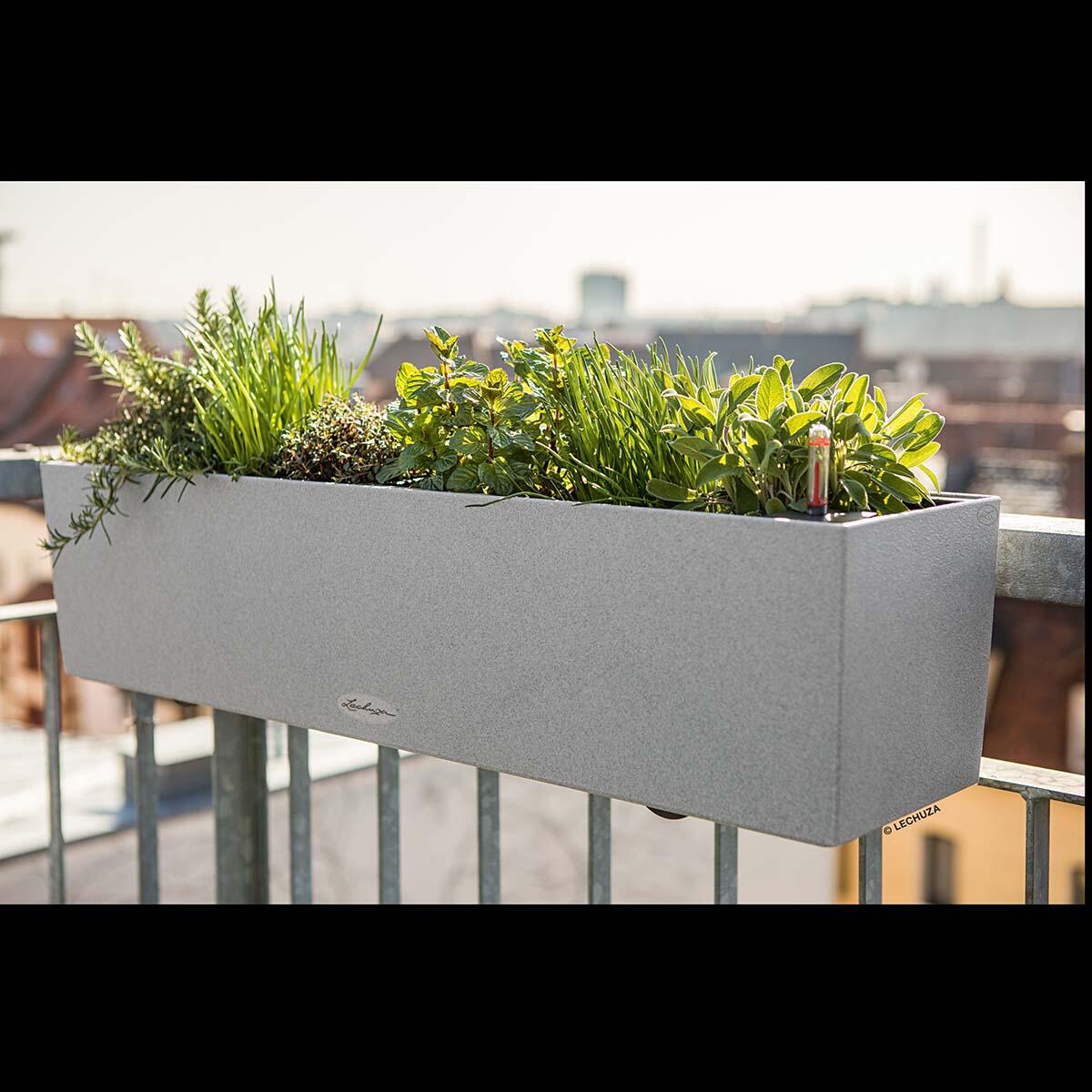 Vaso autoirrigante Stone LECHUZA in polipropilene grigio H 19 x L 79 x P 19 cm - 4