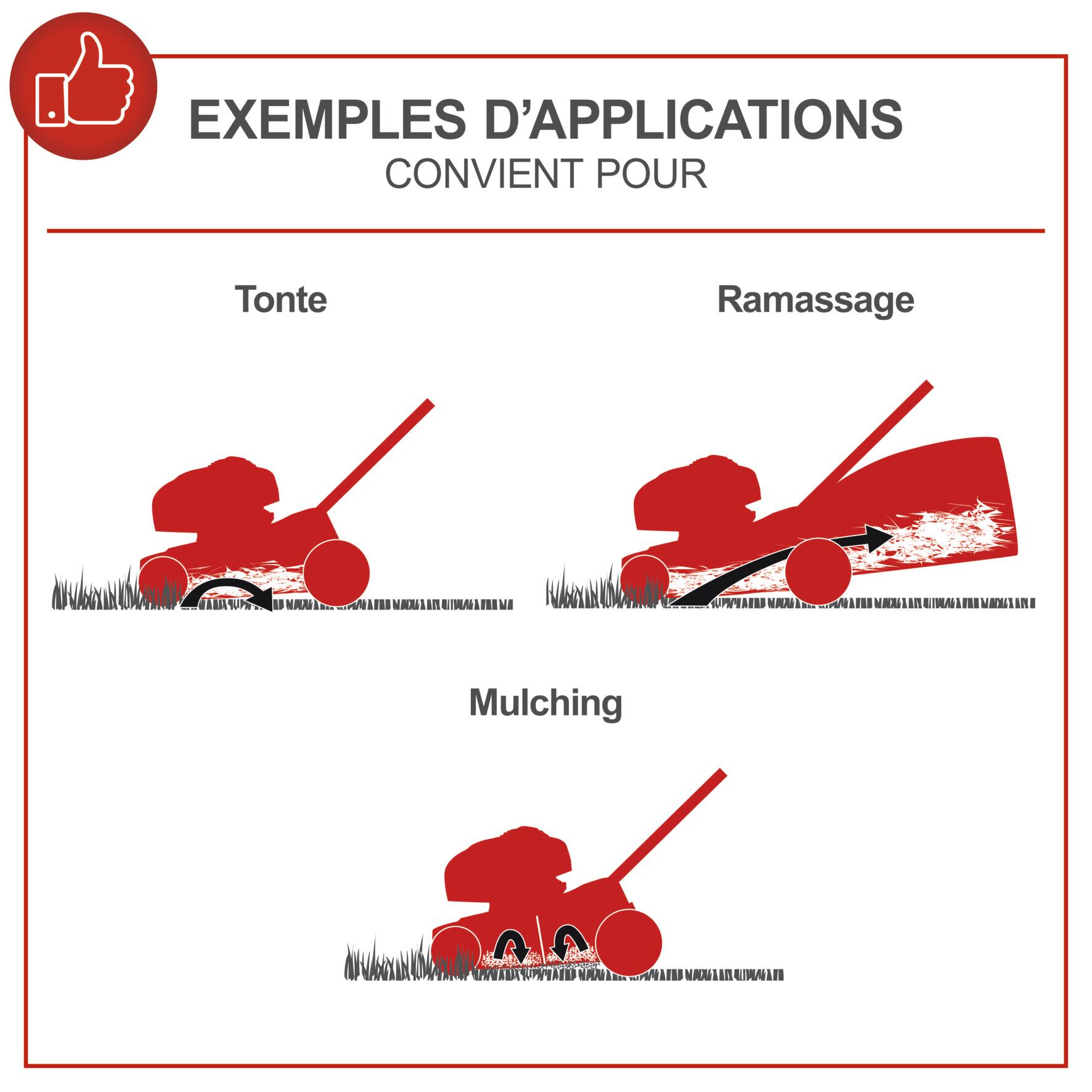 Tondeuse à essence SCHEPPACH Ms225-53e , 224 cm³, l.53 cm, démarrage électrique - 12