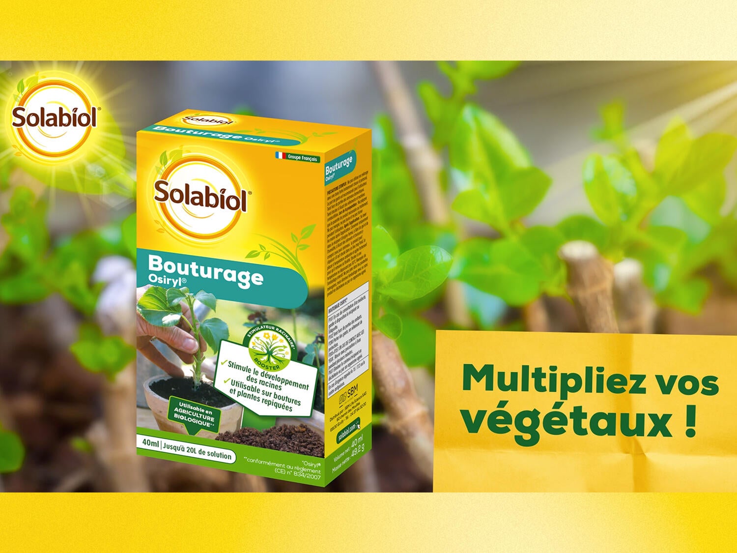 Bouturage Osiryl SOLABIOL 40ML - 2