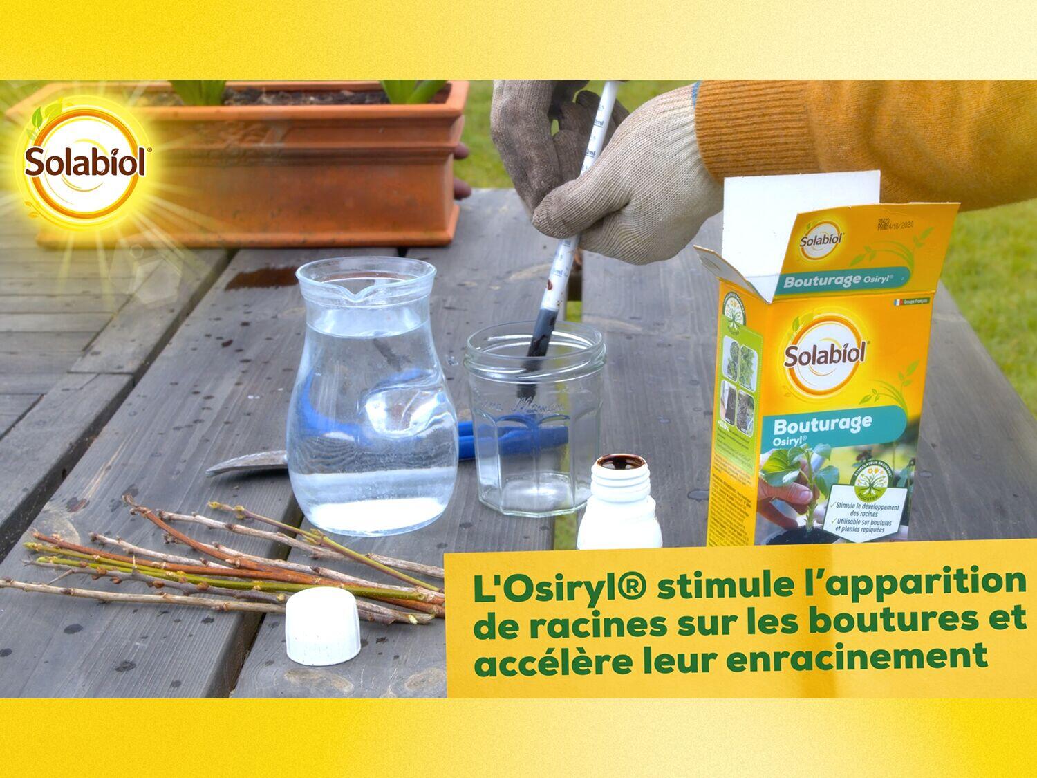 Bouturage Osiryl SOLABIOL 40ML - 5