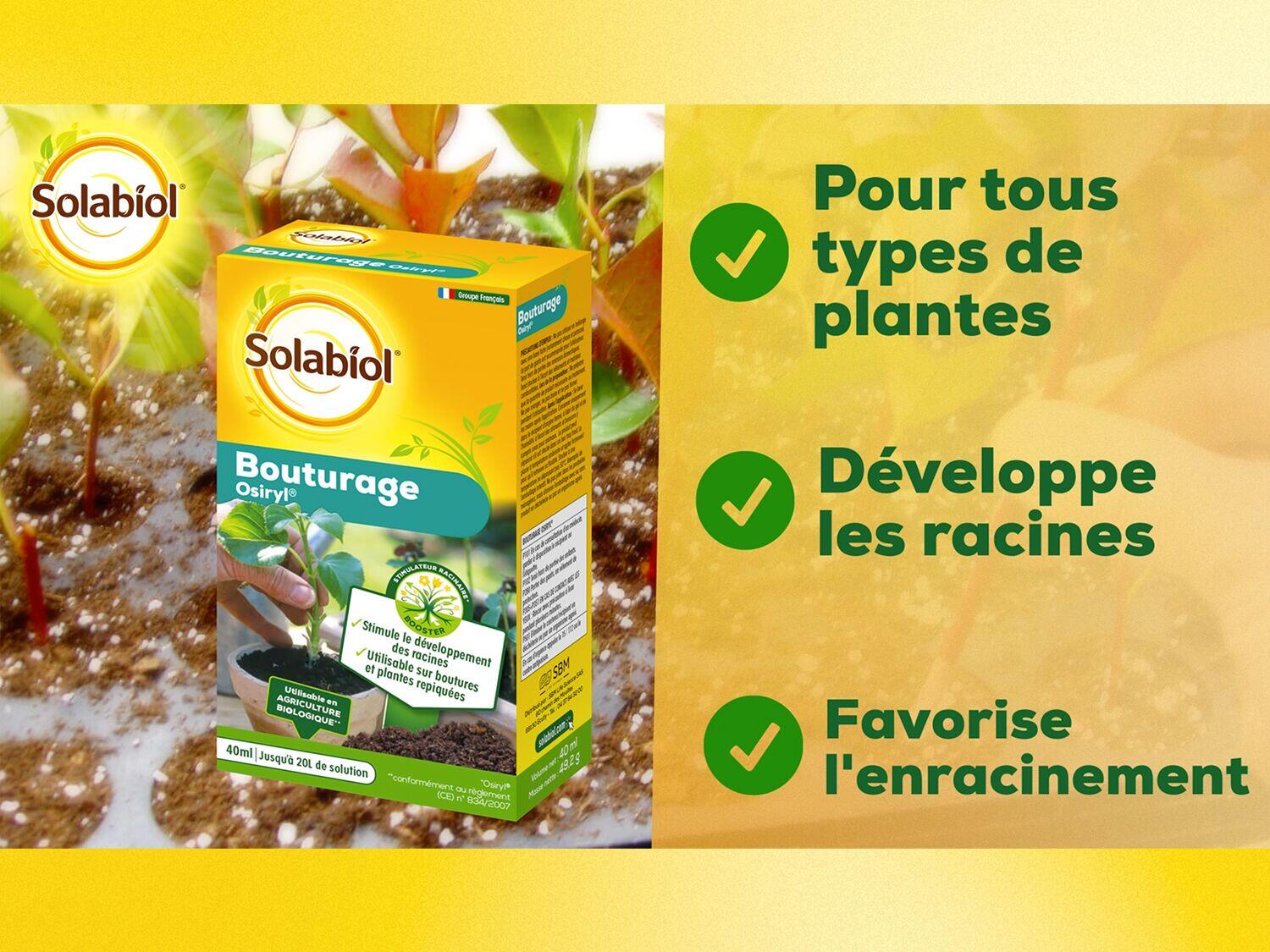 Bouturage Osiryl SOLABIOL 40ML - 6