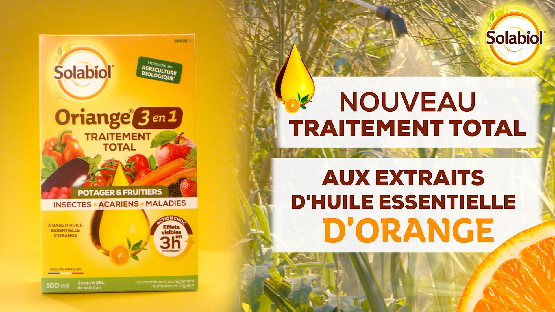 Traitement potager et fruitiers SOLABIOL,100 ml - 2