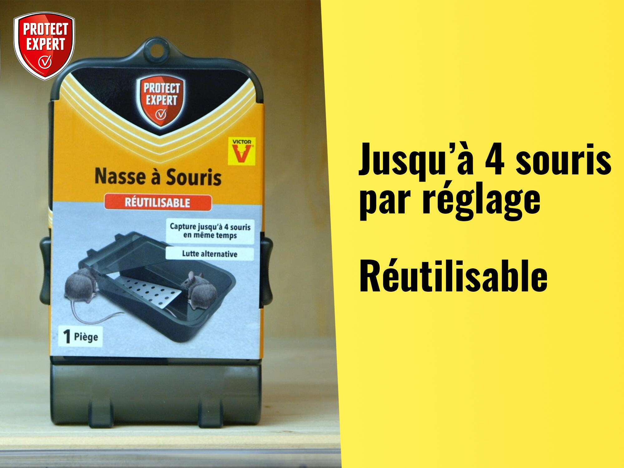 Piège antisouris PROTECT EXPERT, 1 piège - 3