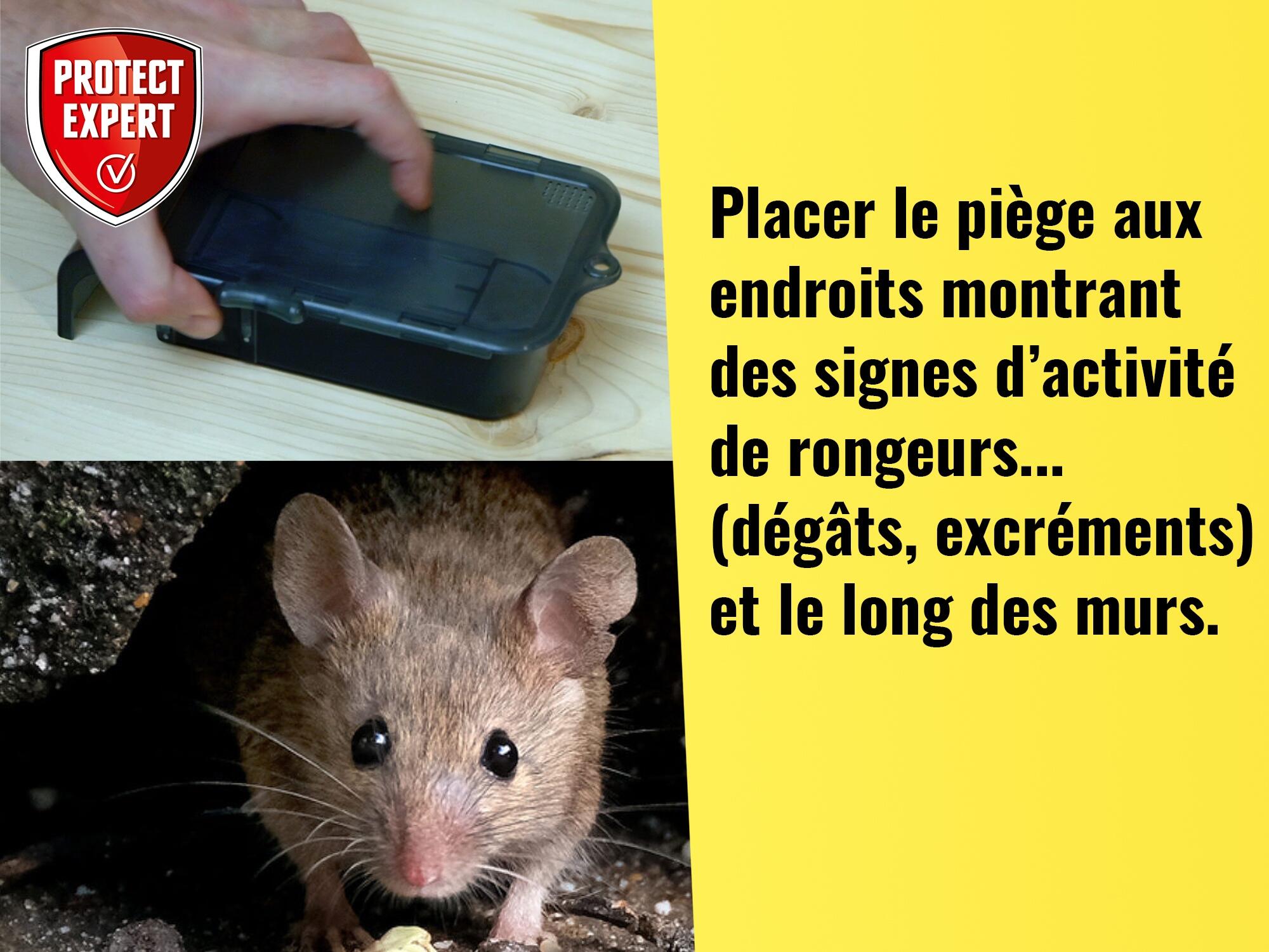 Piège antisouris PROTECT EXPERT, 1 piège - 5